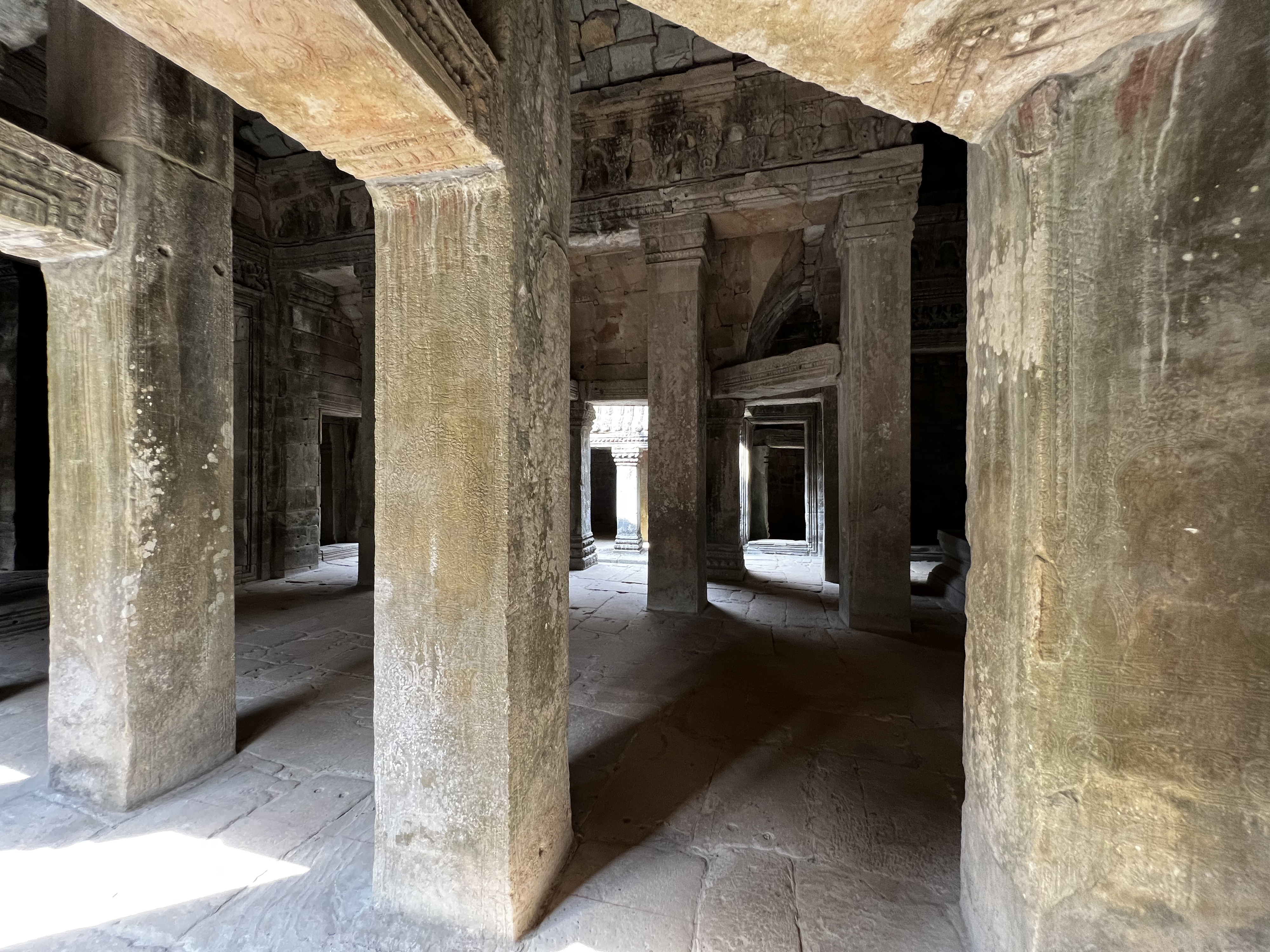 รูปถ่าย กัมพูชา(Cambodia) เสียมราฐ(Siem Reap) ปราสาทตาพรหม(Ta Prohm) 2023-01 22