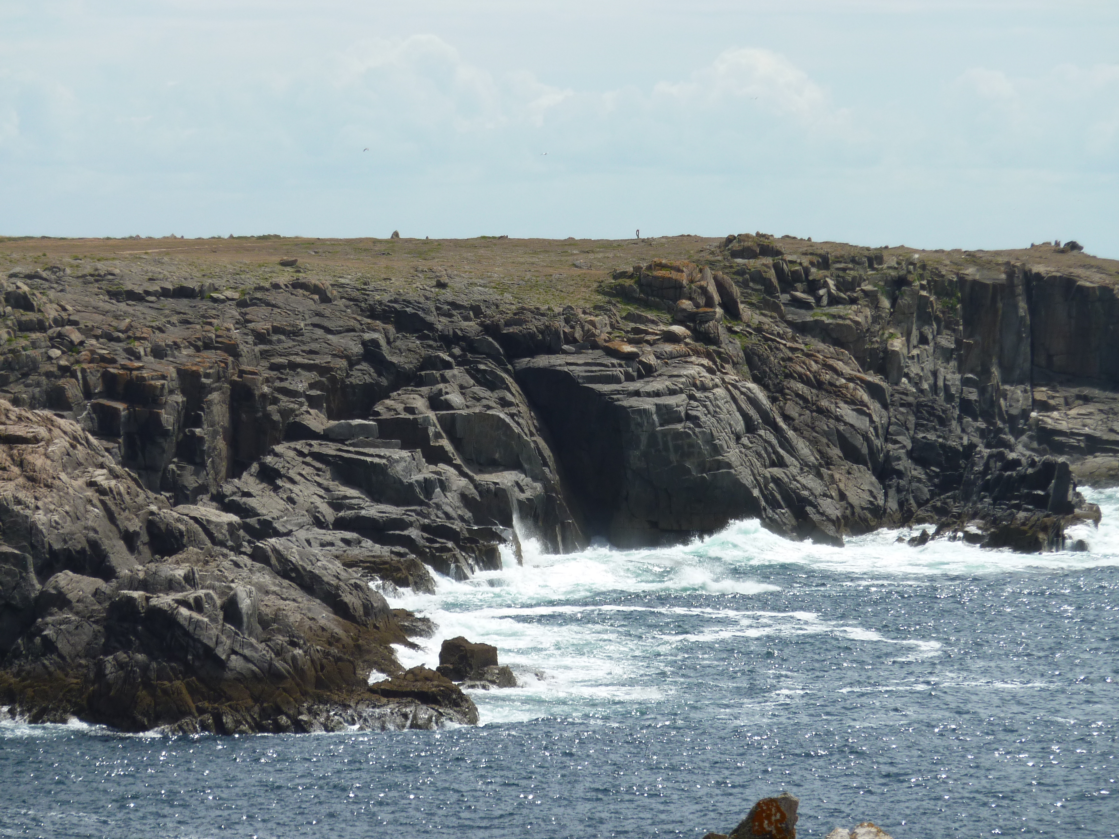 รูปถ่าย ฝรั่งเศส(France) เกาะดีเยอ(Ile d'yeu) 2009-07 68
