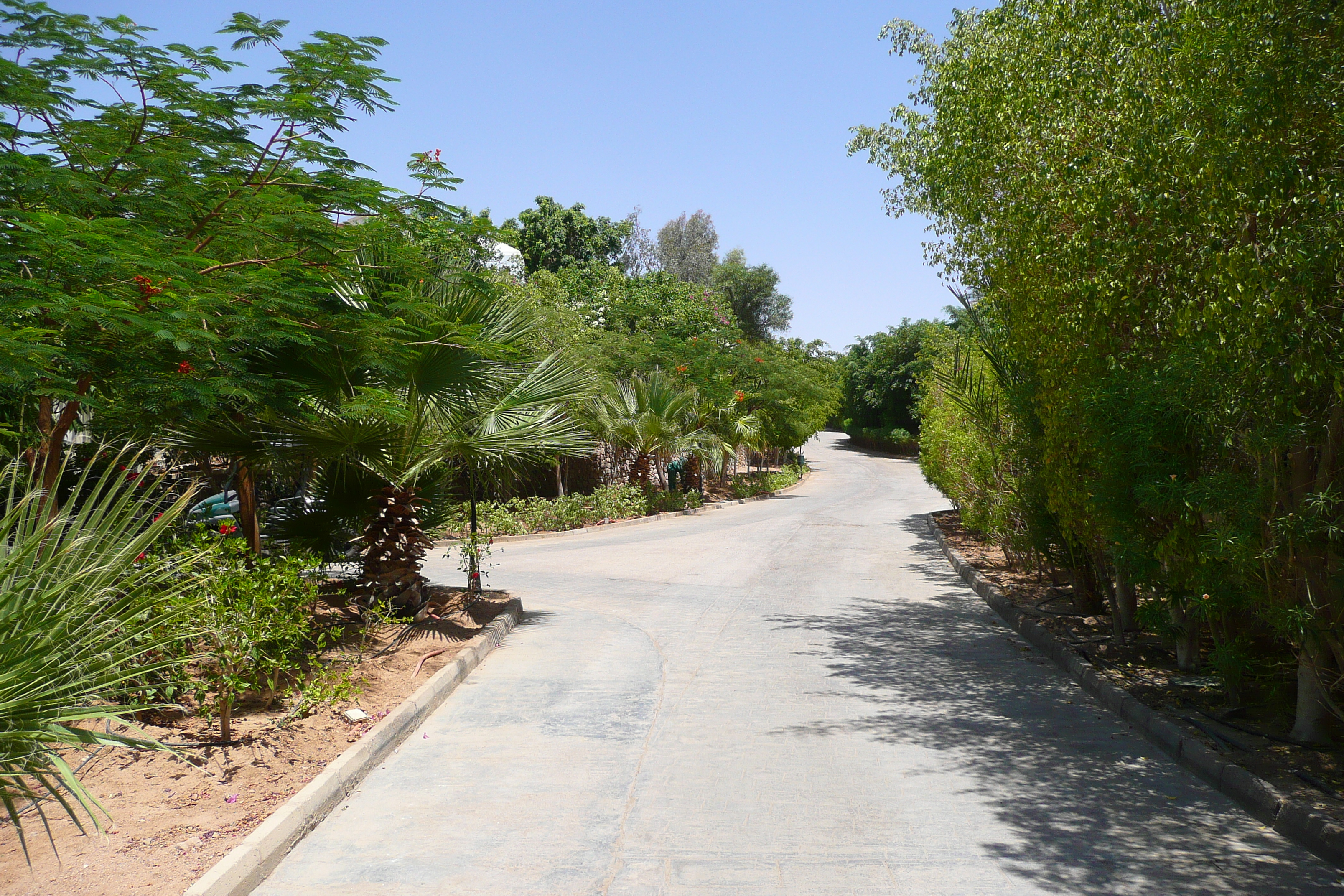 รูปถ่าย อียิปต์(Egypt) ชาร์มเอลชีค(Sharm el Sheikh) โรงแรมไฮแอต(Hyatt Hotel) 2008-06 4