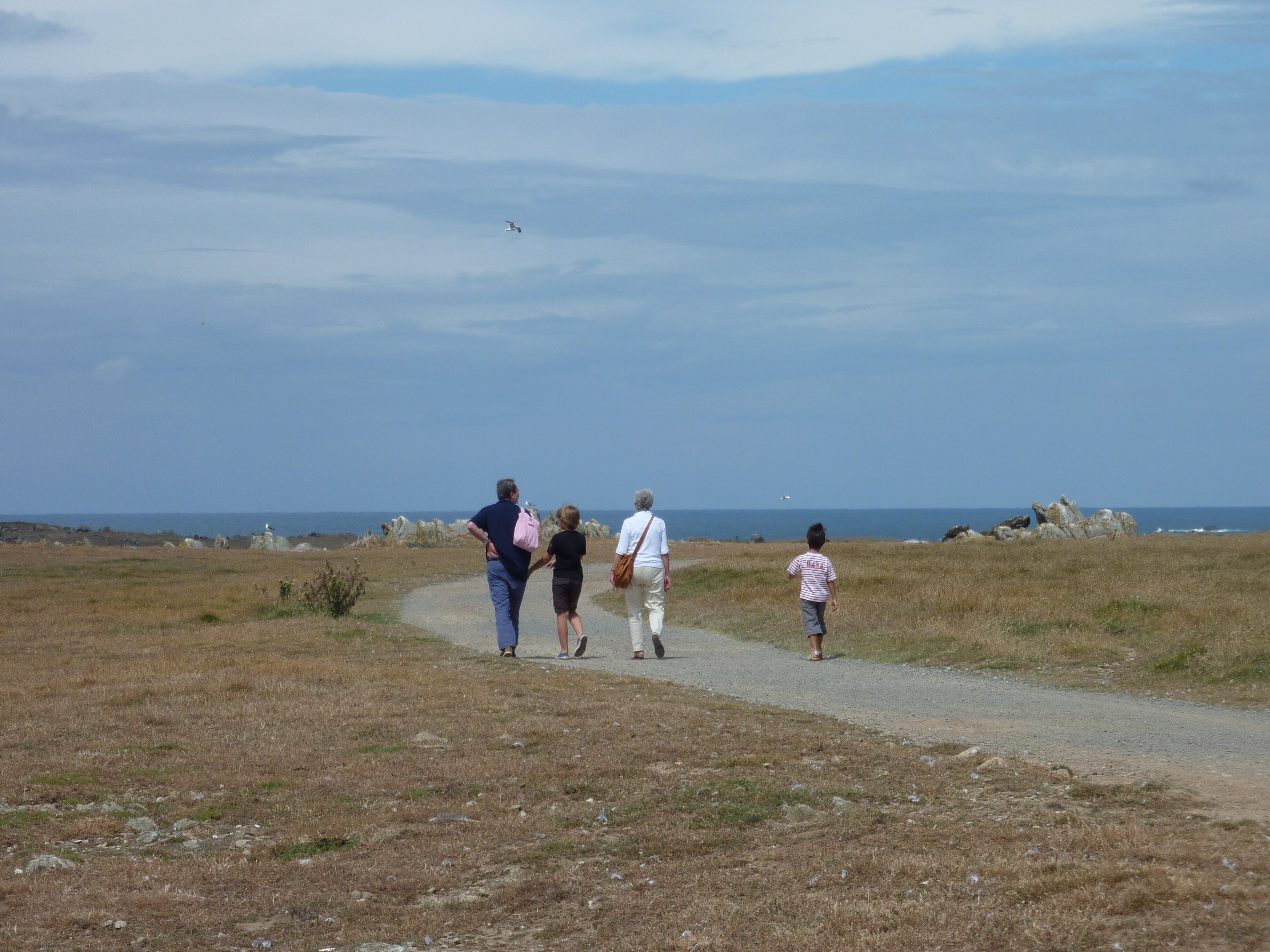 รูปถ่าย ฝรั่งเศส(France) เกาะดีเยอ(Ile d'yeu) 2009-07 49