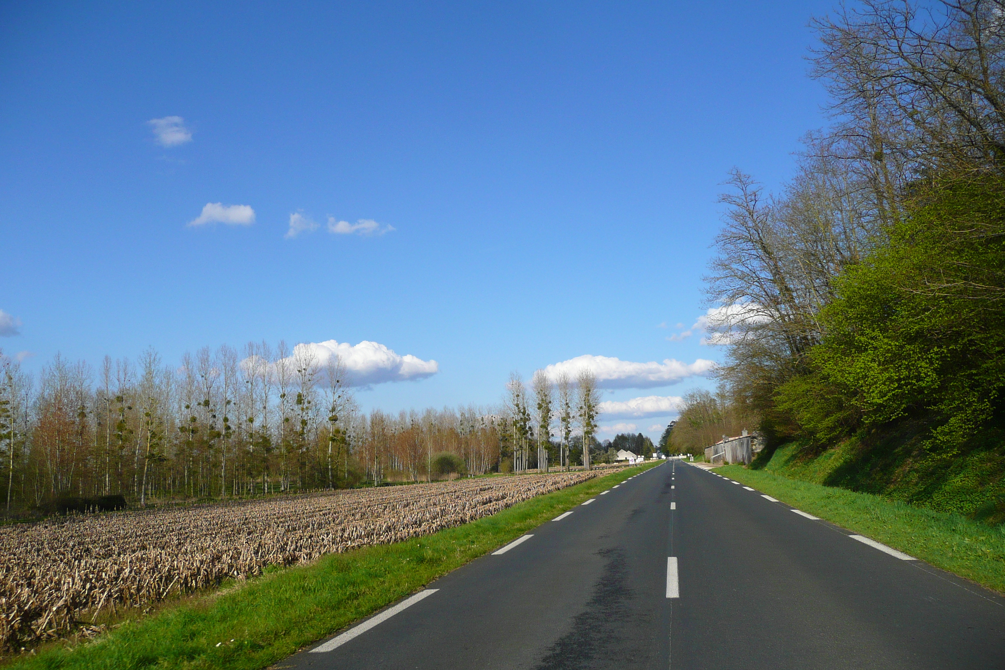 รูปถ่าย ฝรั่งเศส(France) อ็องบวซ(Amboise) ถนนจากอ็องบวซไปบลัว(Amboise to blois road) 2008-04 35