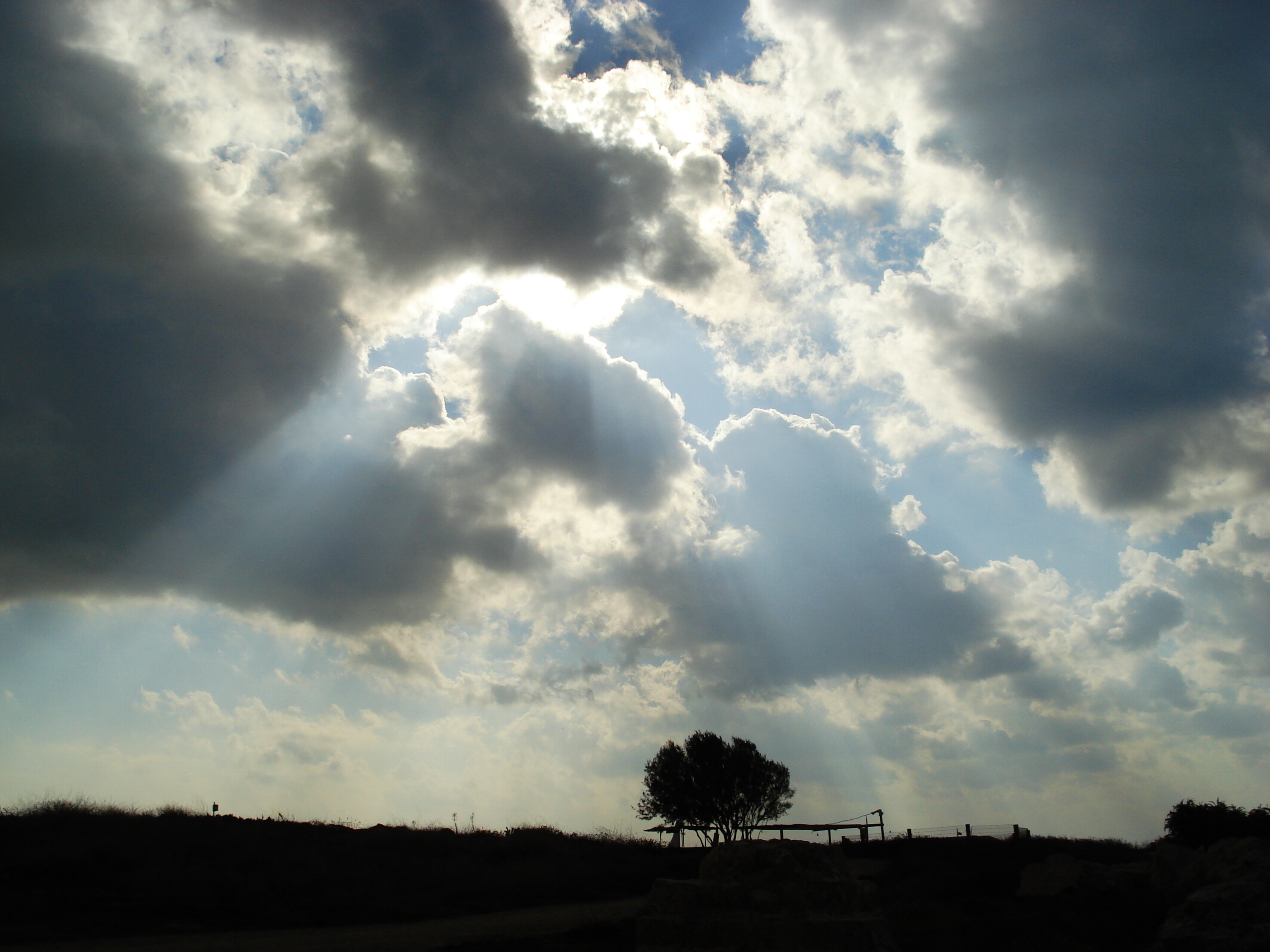 รูปถ่าย อิสราเอล(Israel) อปอลโลเนีย(Apollonia) 2006-12 4