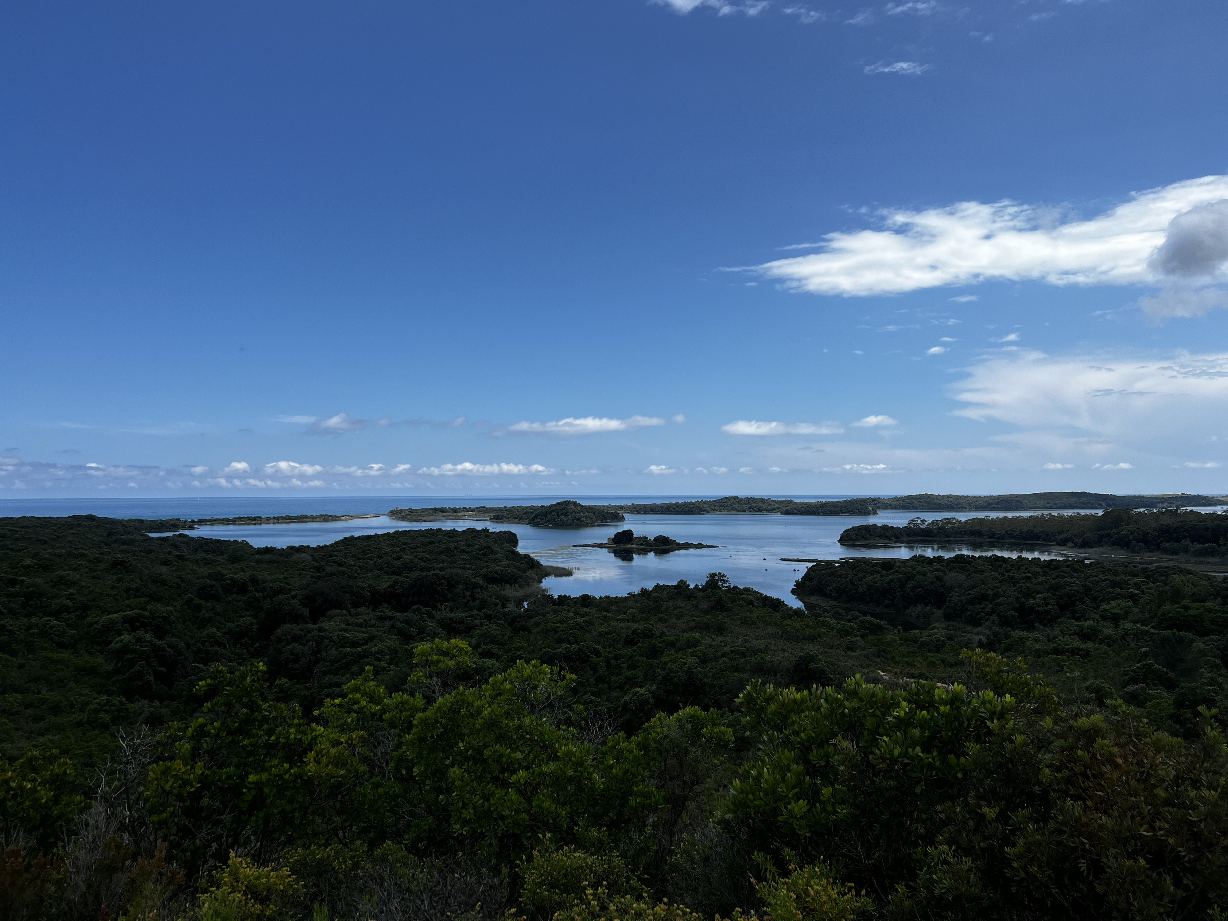 รูปถ่าย ฝรั่งเศส(France) คอร์สิคา(Corsica) บึงดียาน(Etang de Diane) 2023-06 3