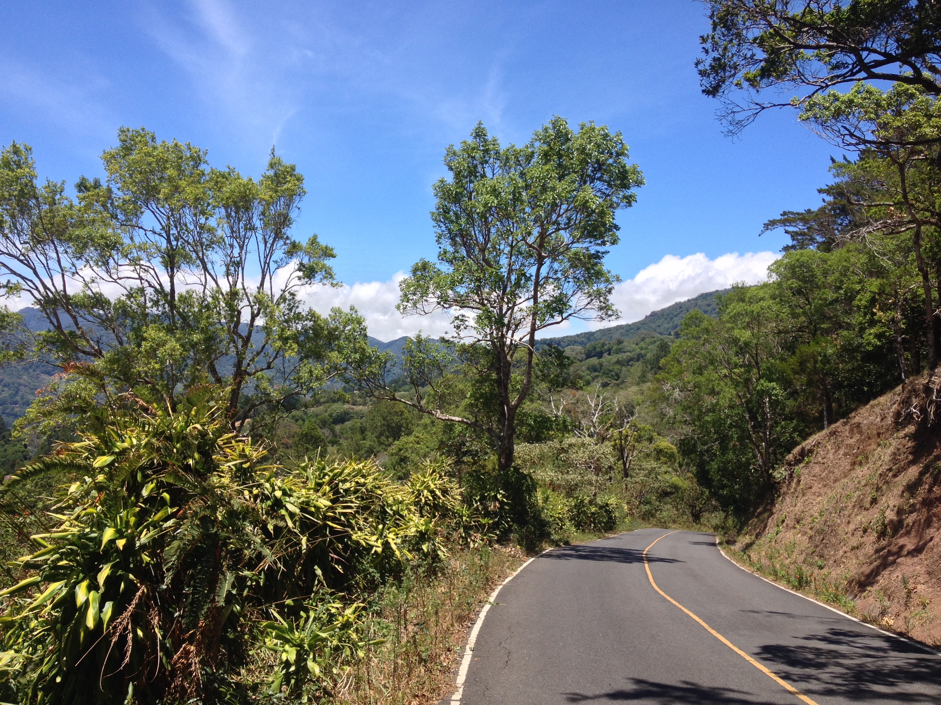 รูปถ่าย ปานามา(Panama) โบเกเต(Boquete) 2015-03 72