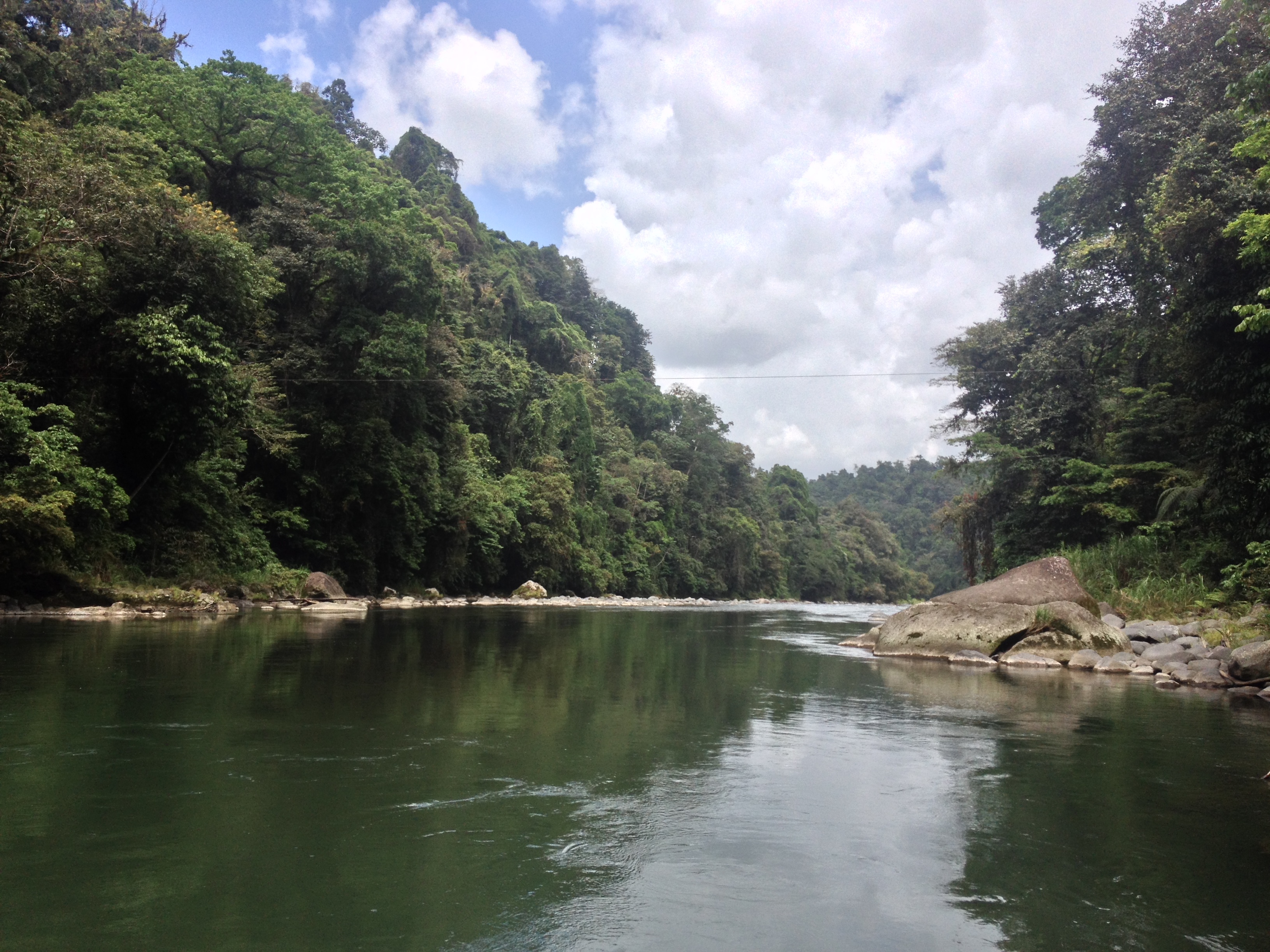 รูปถ่าย คอสตาริกา(Costa Rica) แม่น้ำปากัวเร(Pacuare River) 2015-03 75