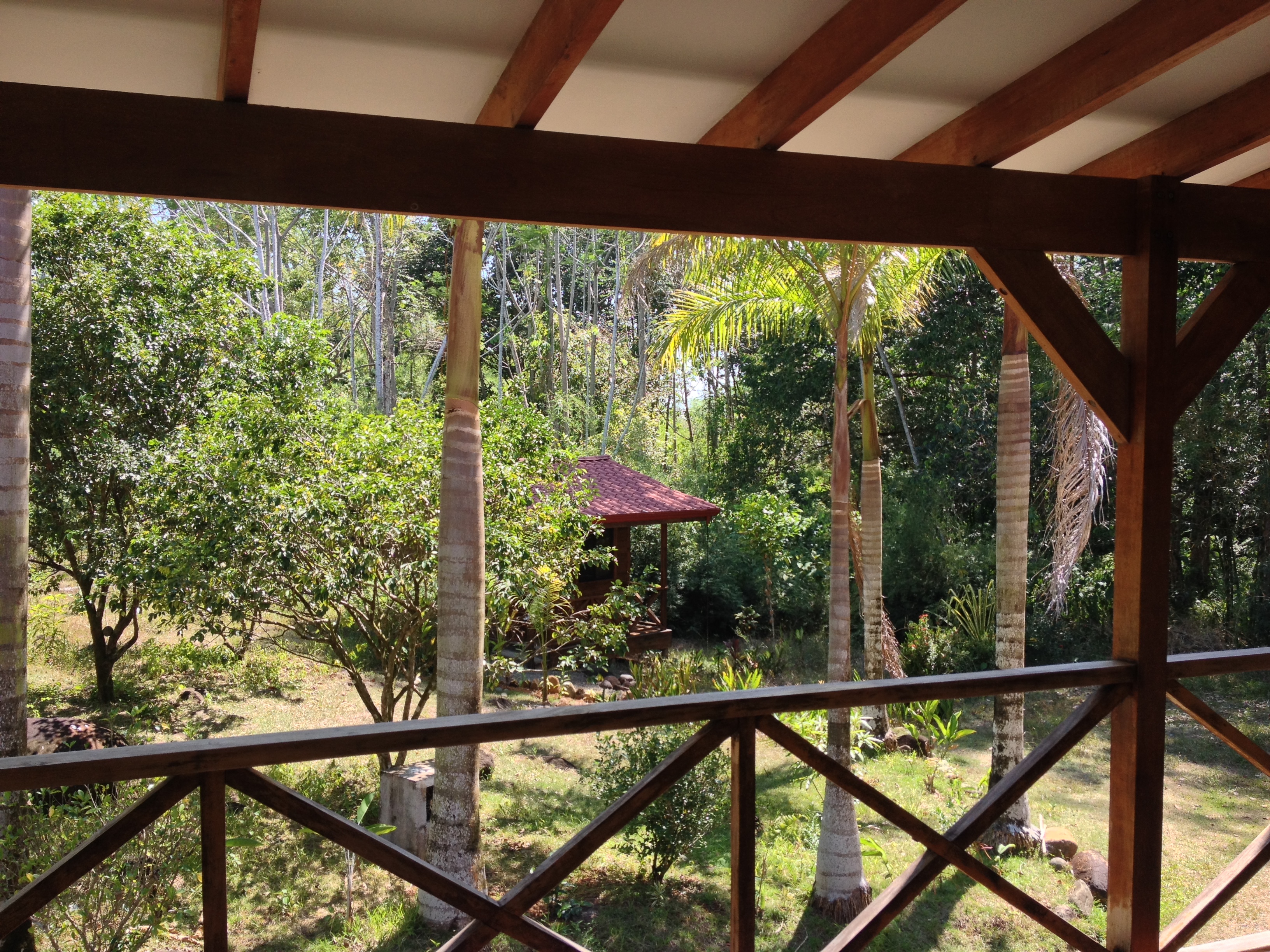 รูปถ่าย คอสตาริกา(Costa Rica) อูบีตา(Uvita) 2015-03 25