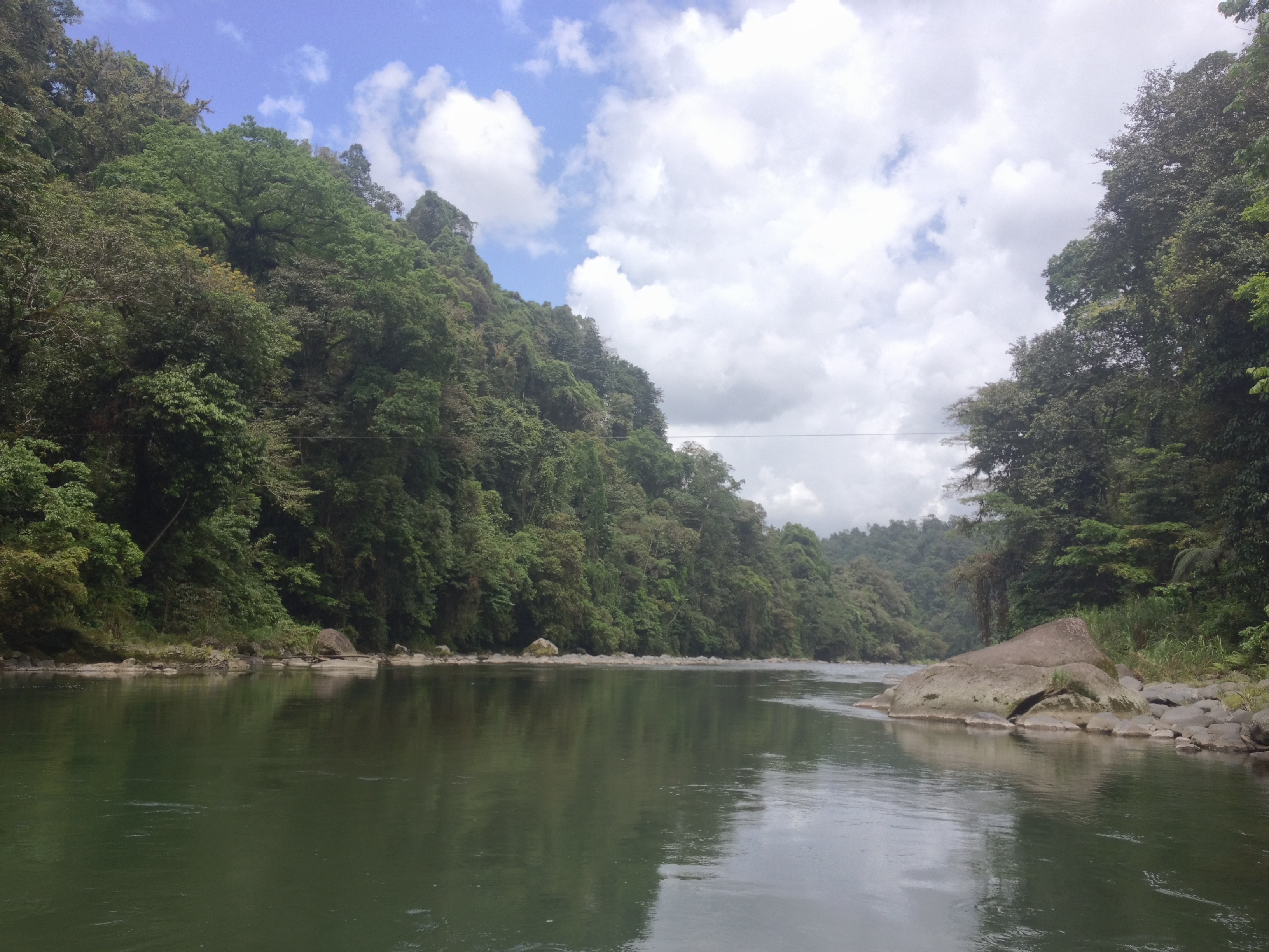รูปถ่าย คอสตาริกา(Costa Rica) แม่น้ำปากัวเร(Pacuare River) 2015-03 94