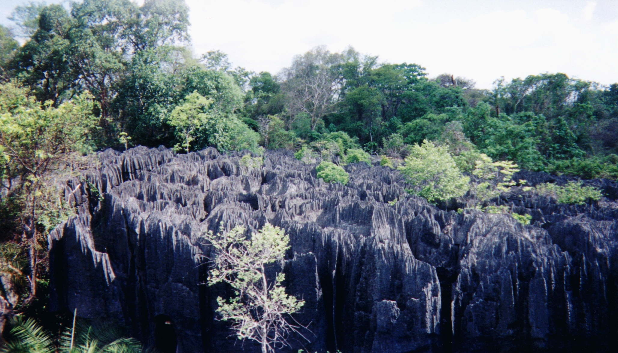 รูปถ่าย มาดากัสการ์(Madagascar) ทีซินกี(Tsingy) 1999-10 26