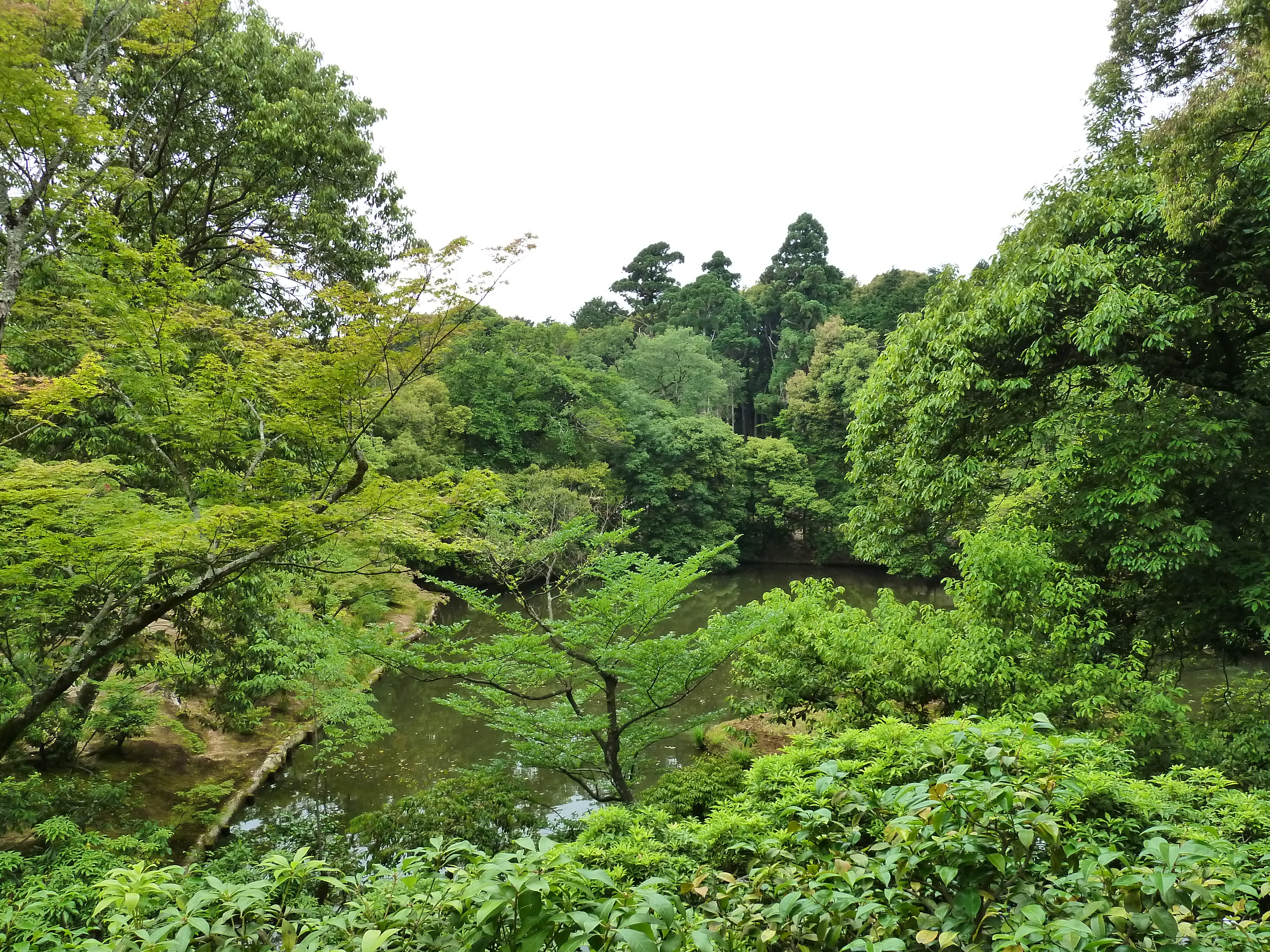 รูปถ่าย ญี่ปุ่น(Japan) เกียวโต(Kyoto) วัดคินกะกุจิ (ศาลาทอง)(Kinkakuji Temple(Golden Pavilion)) 2010-06 57