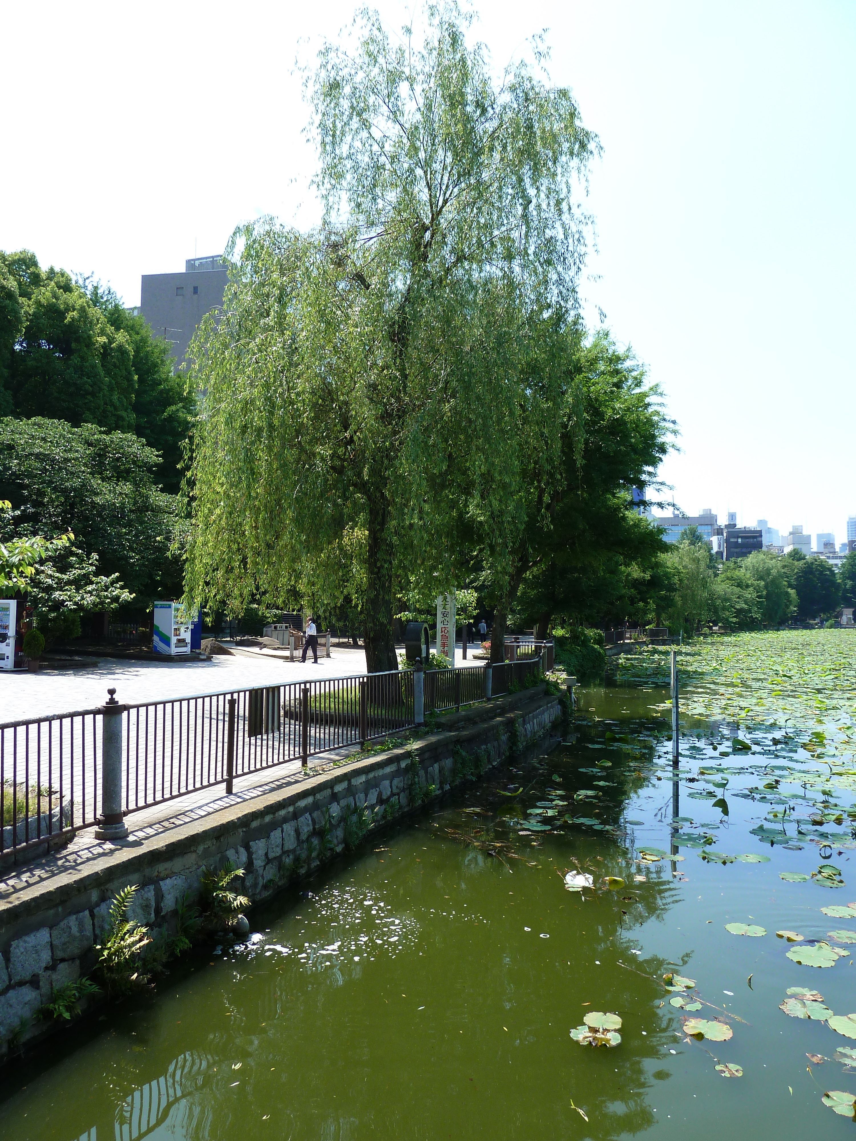 รูปถ่าย ญี่ปุ่น(Japan) โตเกียว(Tokyo) อุเอโนะ(Ueno) 2010-06 87