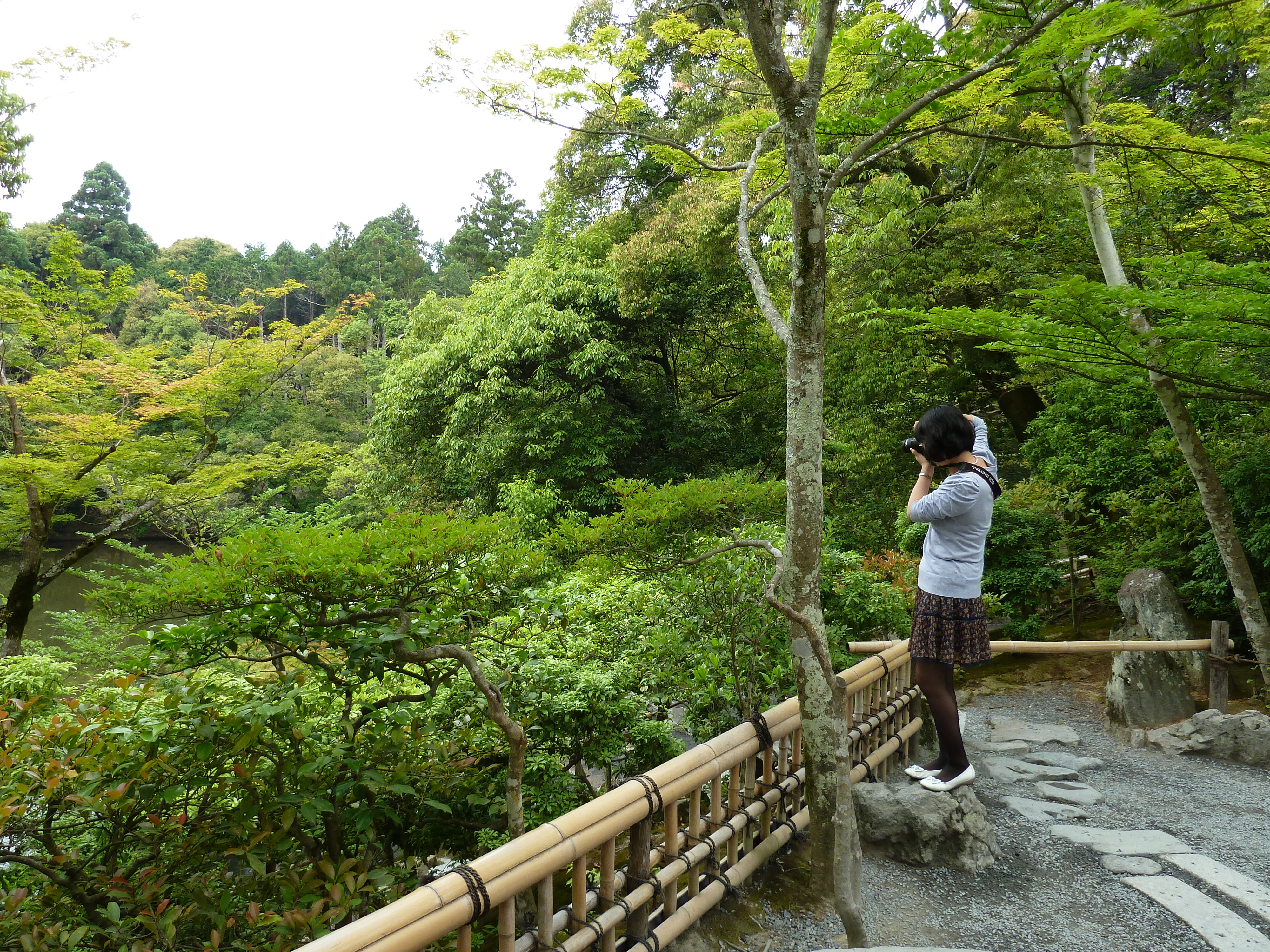 รูปถ่าย ญี่ปุ่น(Japan) เกียวโต(Kyoto) วัดคินกะกุจิ (ศาลาทอง)(Kinkakuji Temple(Golden Pavilion)) 2010-06 50