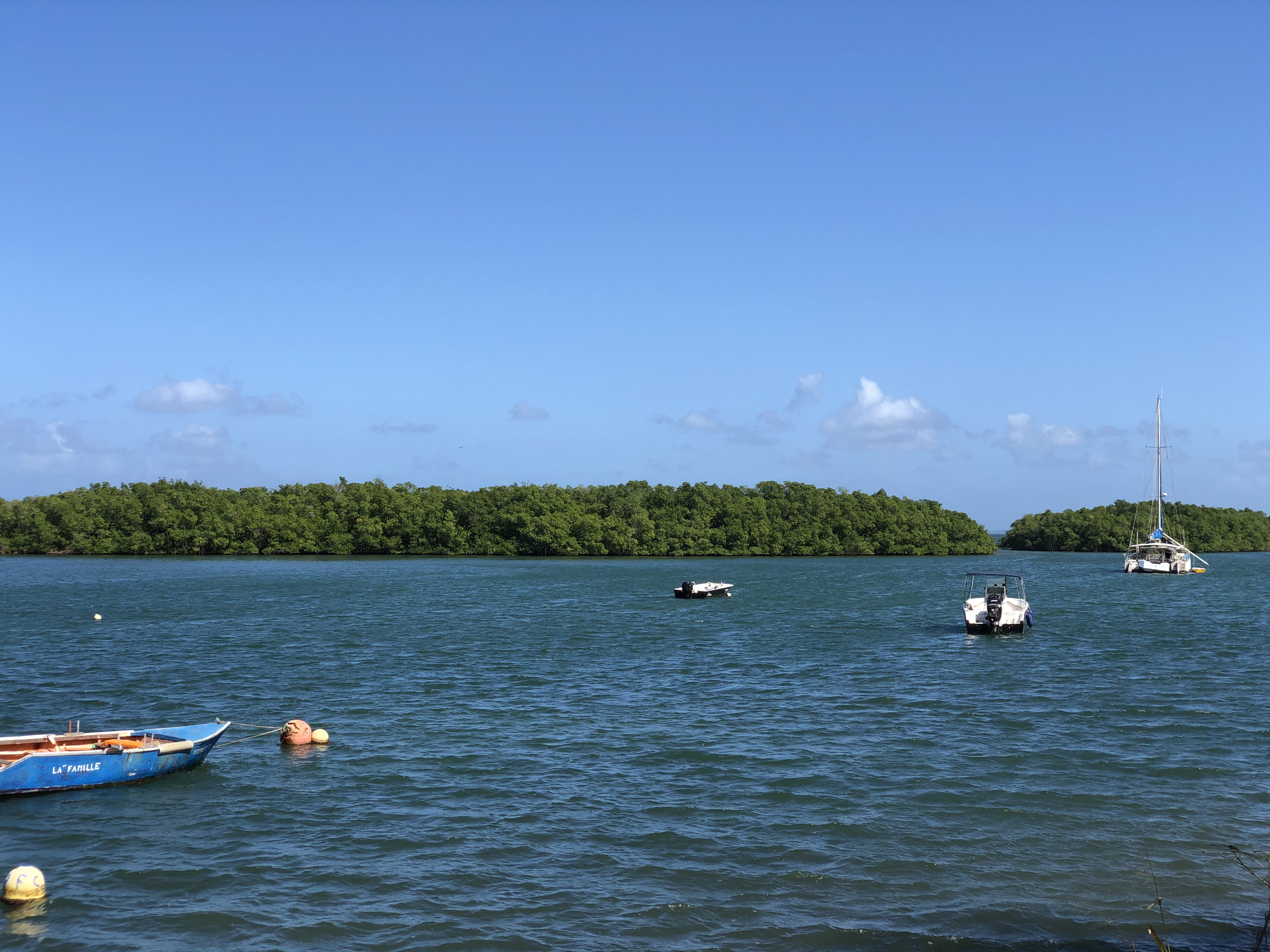 รูปถ่าย กวาเดอลูป(Guadeloupe) แซ็นต์โรส(Sainte Rose) 2021-02 2