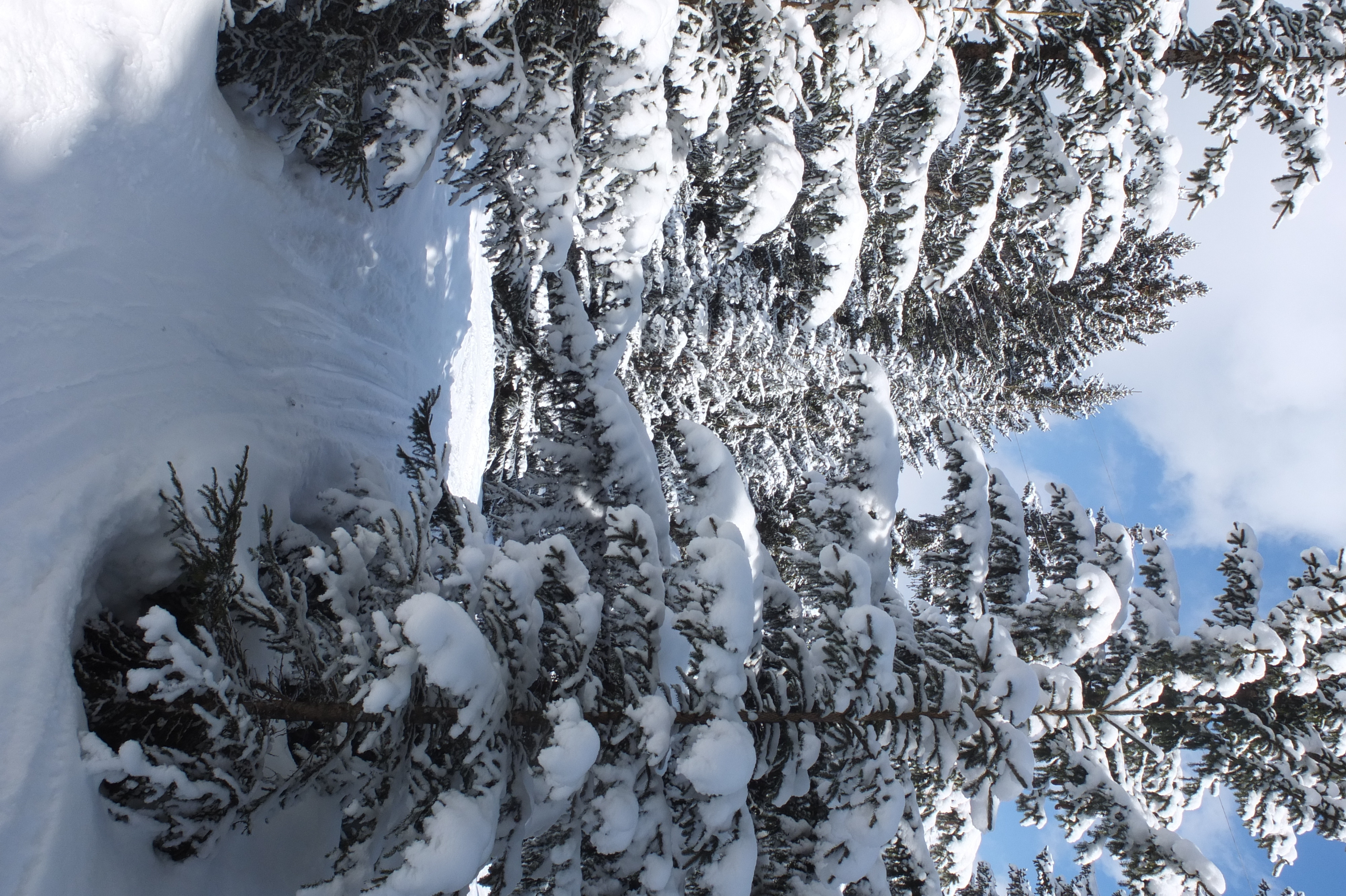รูปถ่าย ฝรั่งเศส(France) เลทรัววาเล(Les 3 Vallees) 2013-03 123
