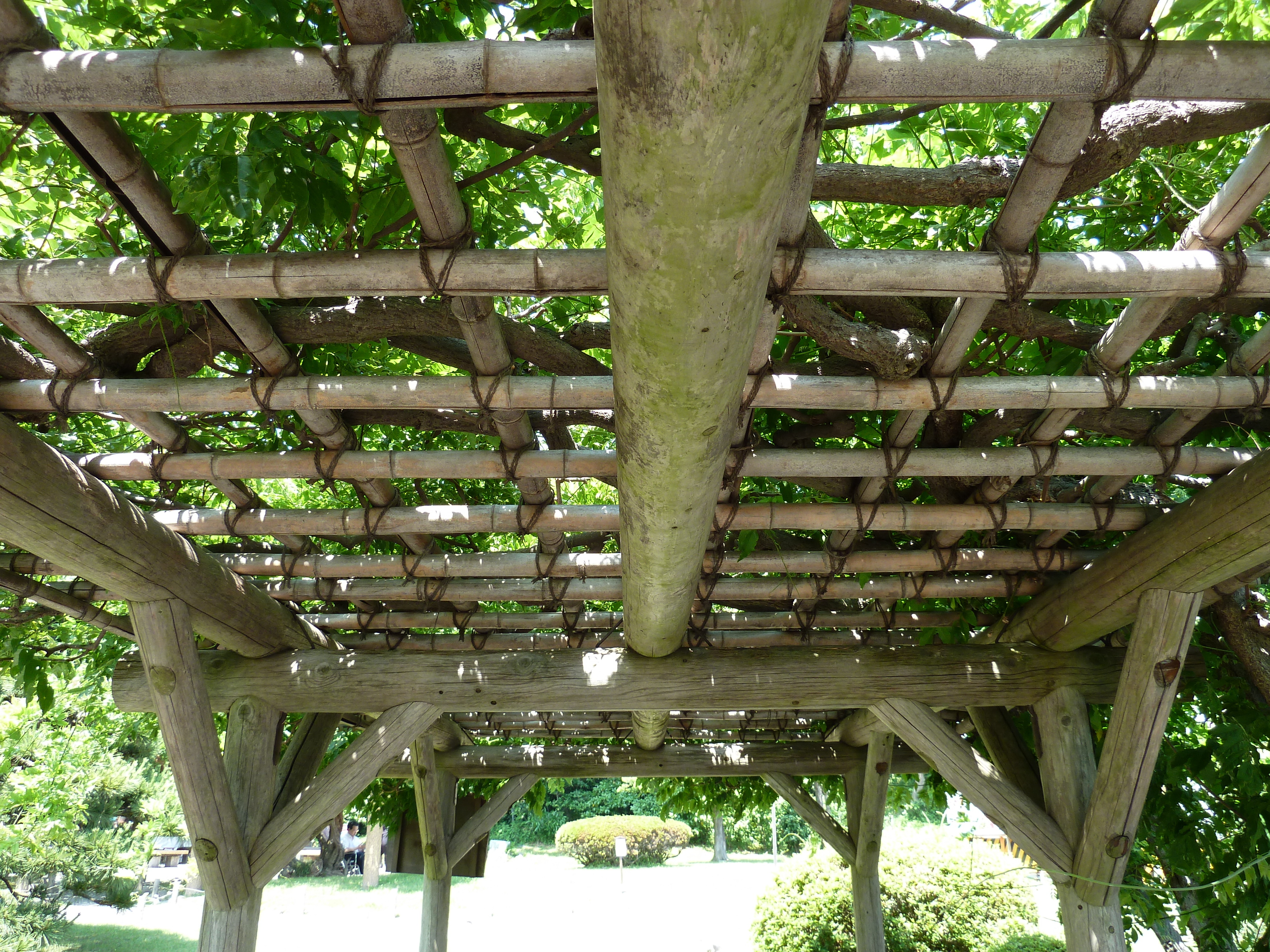 รูปถ่าย ญี่ปุ่น(Japan) โตเกียว(Tokyo) สวนฮามะริคิว(Hama rikyu Gardens) 2010-06 80