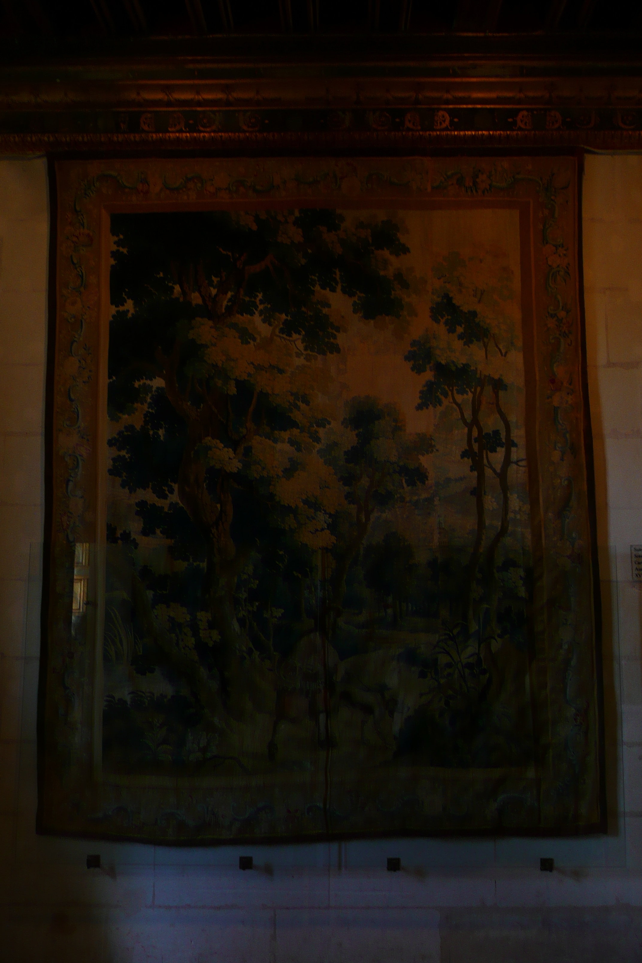 รูปถ่าย ฝรั่งเศส(France) ปราสาทเชอนงโซ(Chenonceau Castle) 2008-04 100