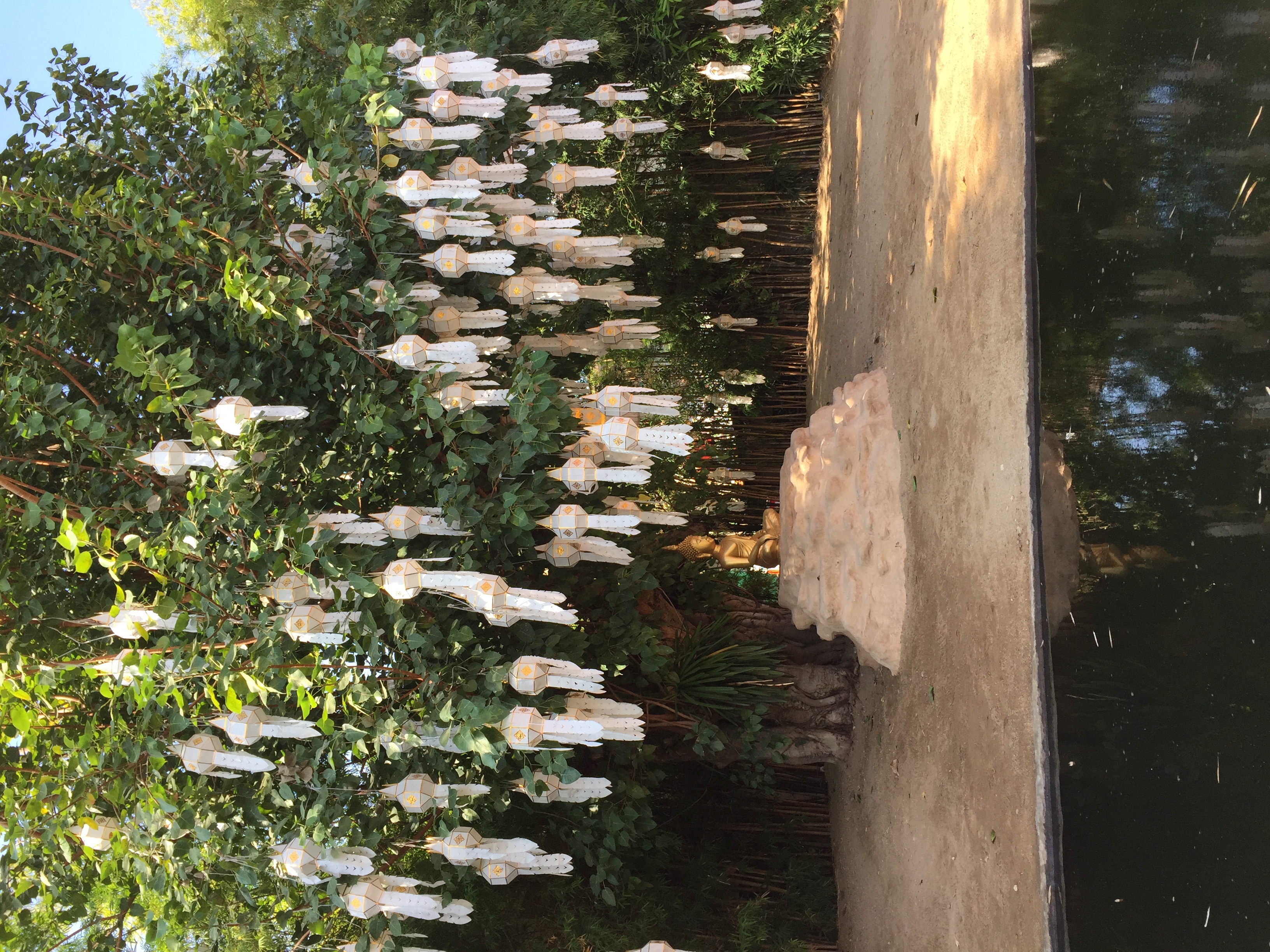 รูปถ่าย ไทย(Thailand) เชียงใหม่(Chiang Mai) 2014-12 52