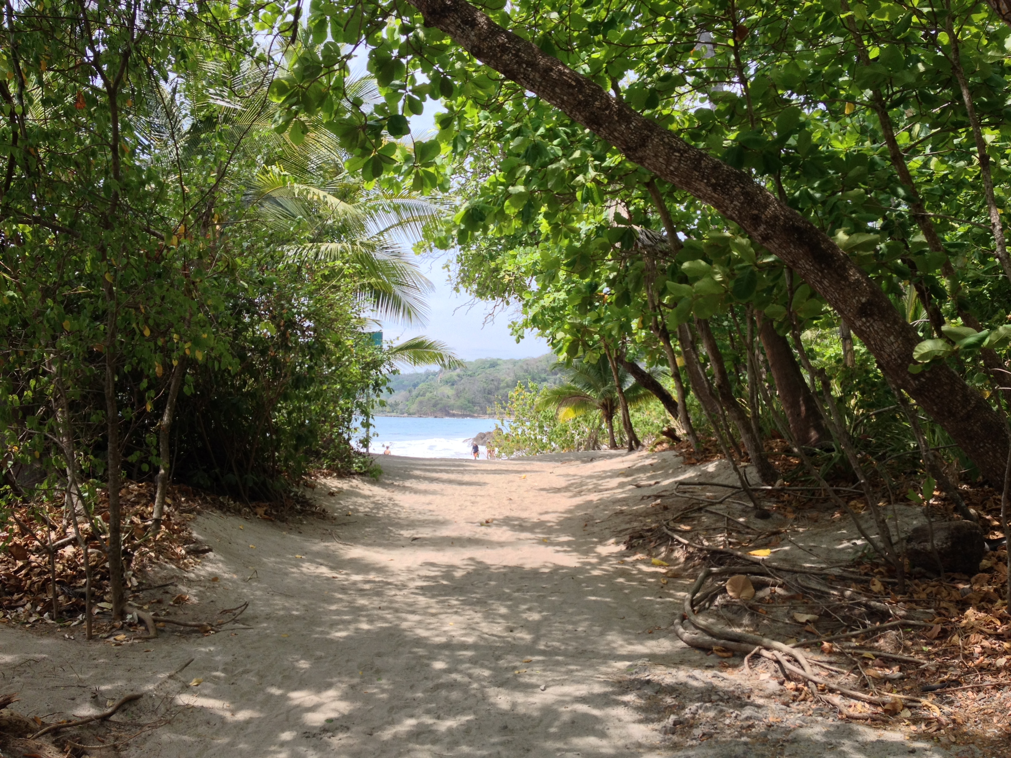 รูปถ่าย คอสตาริกา(Costa Rica) มอนเตซูมา(Montezuma) 2015-03 84