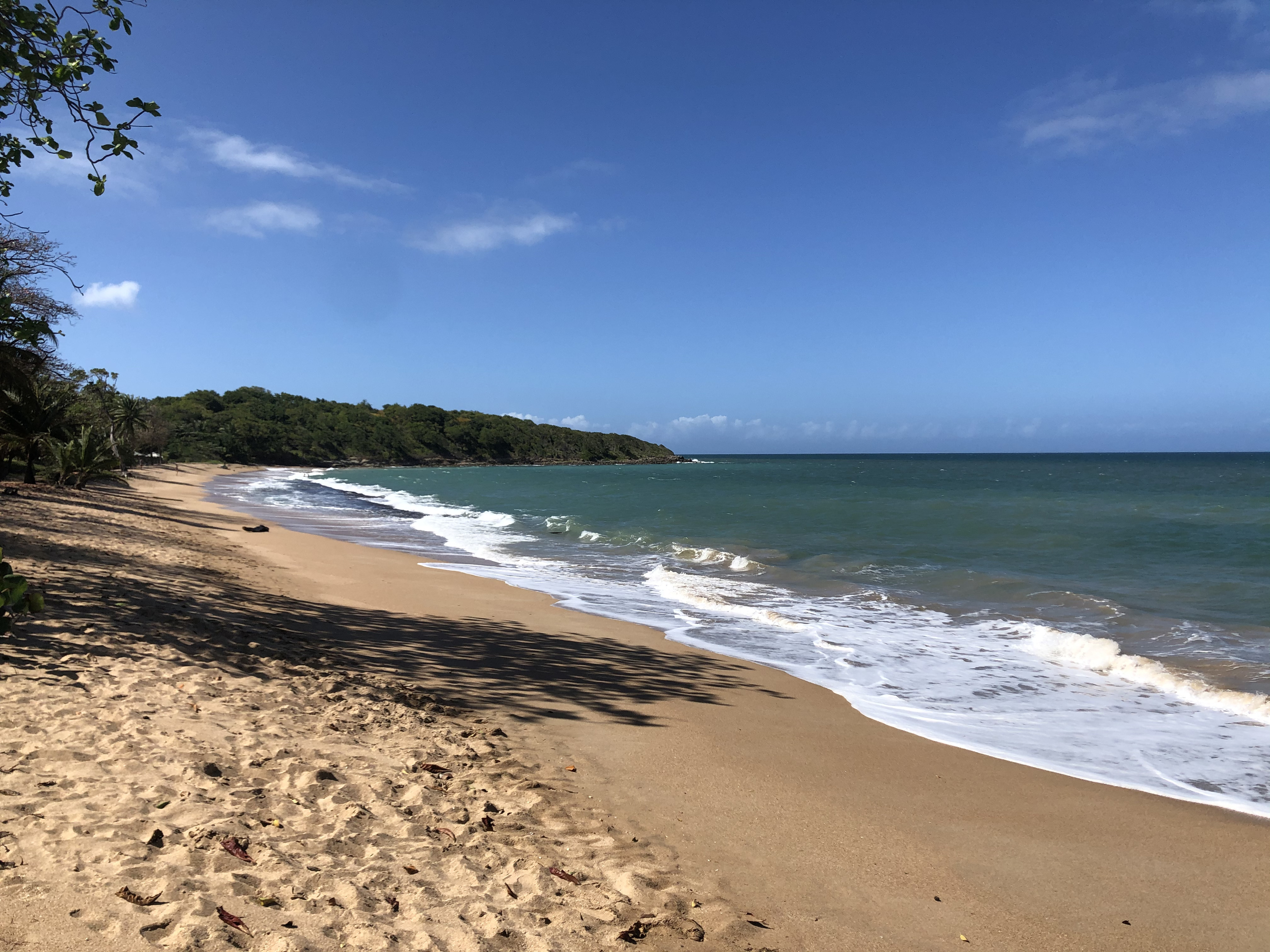 รูปถ่าย กวาเดอลูป(Guadeloupe) แซ็นต์โรส(Sainte Rose) 2021-02 0