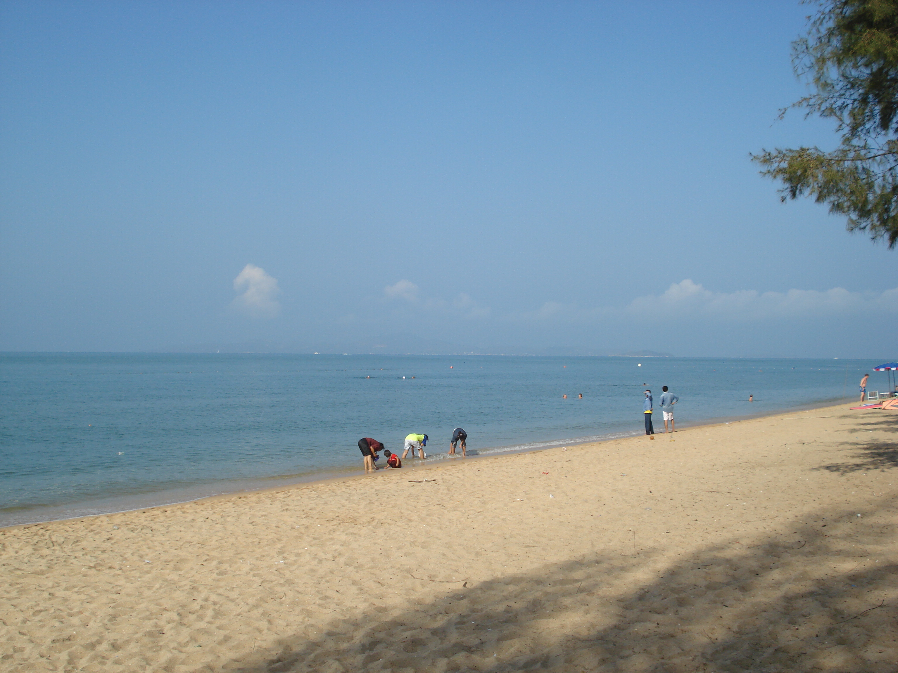 รูปถ่าย ไทย(Thailand) พัทยา(Pattaya) หาดดงตาล(Dongtan beach) 2008-01 30