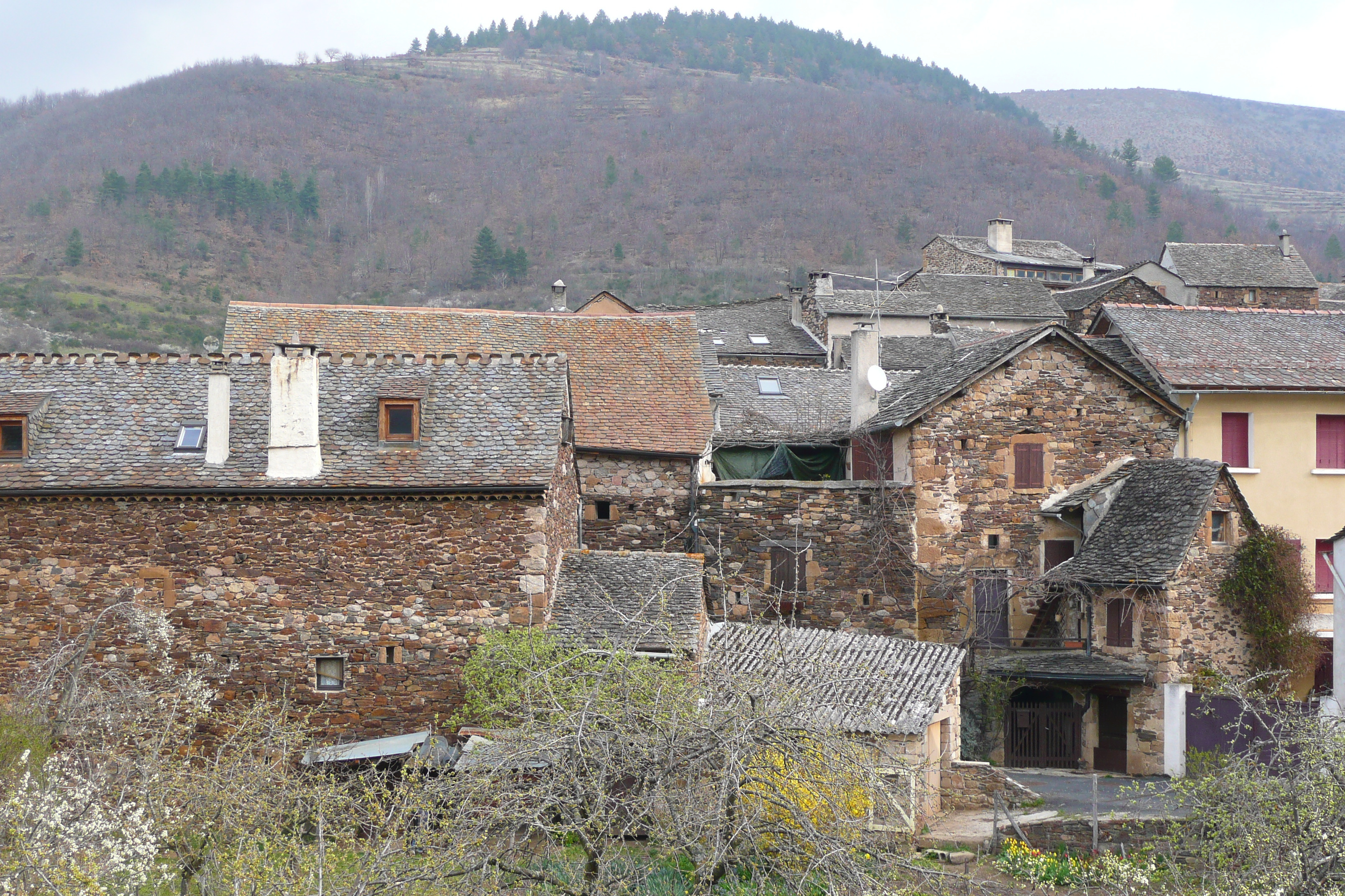 รูปถ่าย ฝรั่งเศส(France) โกกูแรส(Cocures) 2008-04 1