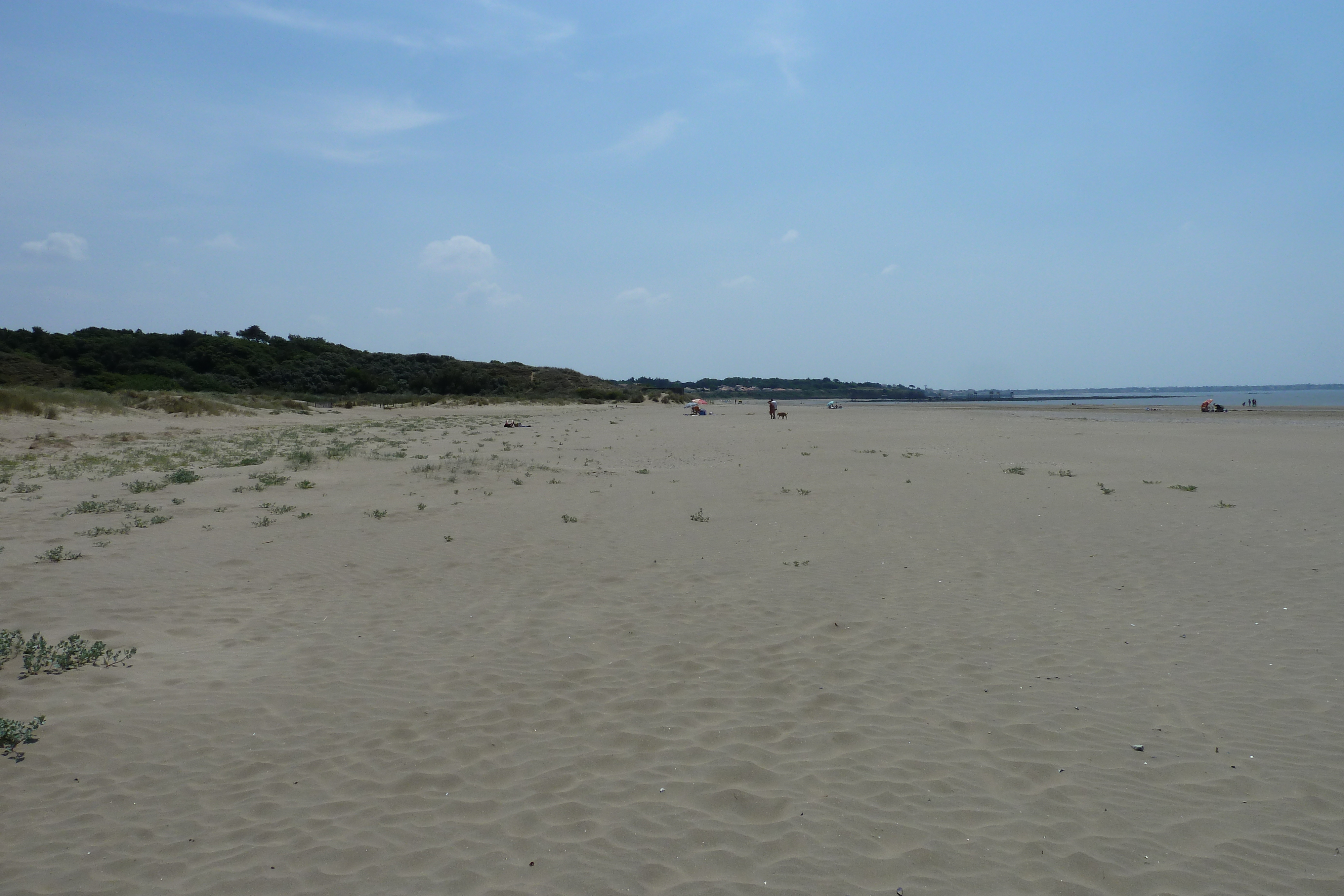 รูปถ่าย ฝรั่งเศส(France) แซ็งเบรแว็ง(St Brevin) 2011-05 69
