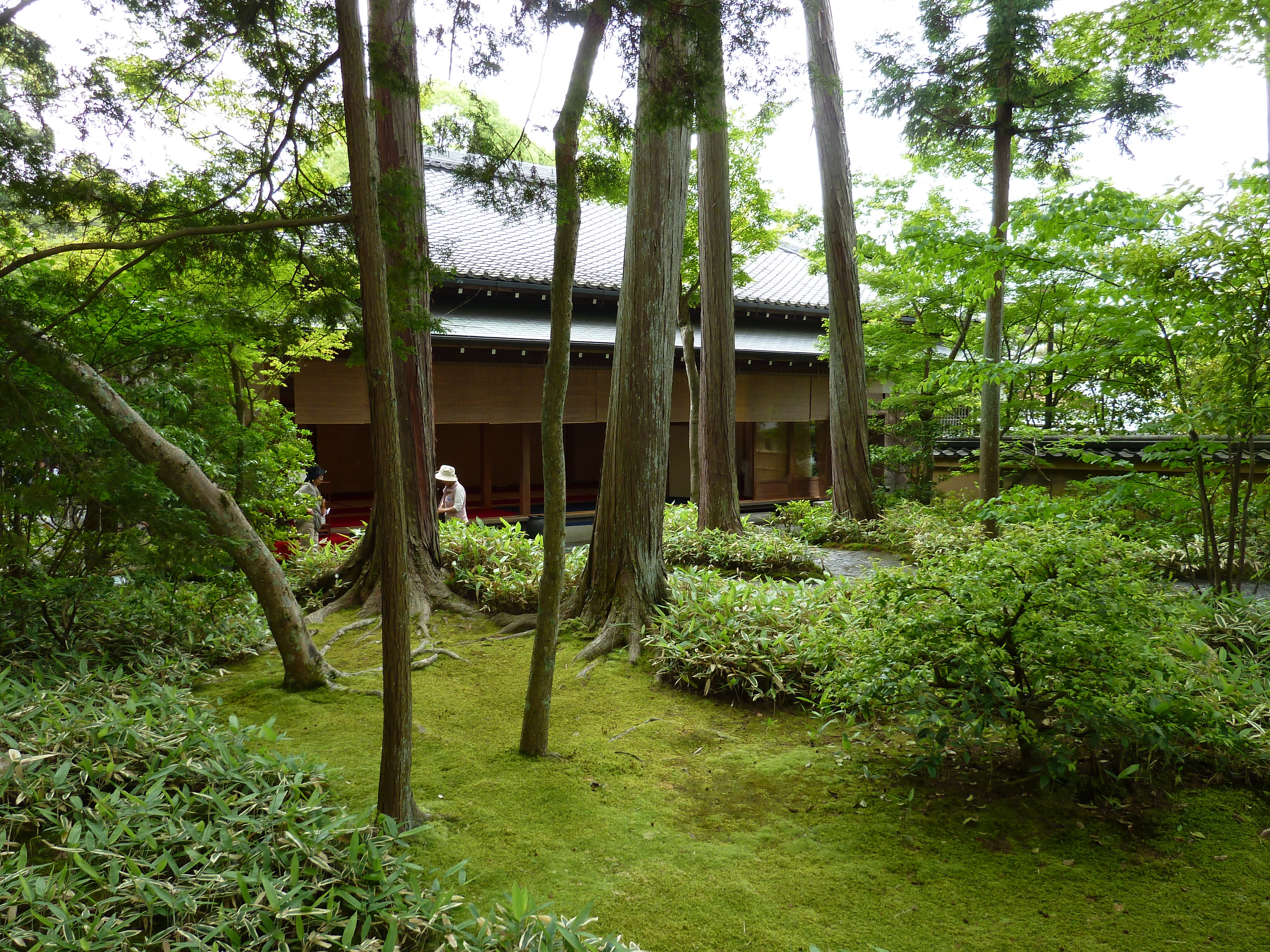 รูปถ่าย ญี่ปุ่น(Japan) เกียวโต(Kyoto) วัดคินกะกุจิ (ศาลาทอง)(Kinkakuji Temple(Golden Pavilion)) 2010-06 31