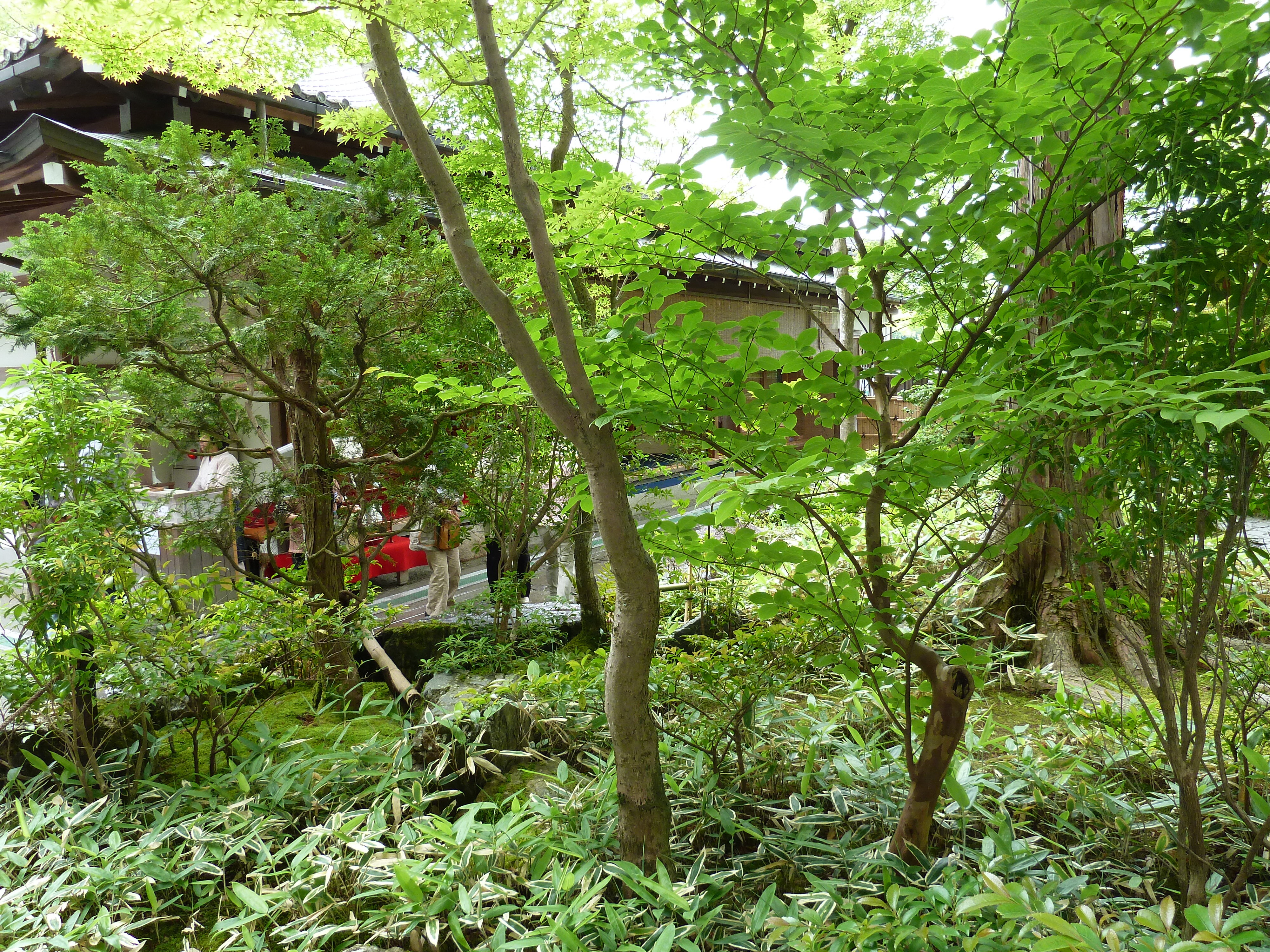 รูปถ่าย ญี่ปุ่น(Japan) เกียวโต(Kyoto) วัดคินกะกุจิ (ศาลาทอง)(Kinkakuji Temple(Golden Pavilion)) 2010-06 34