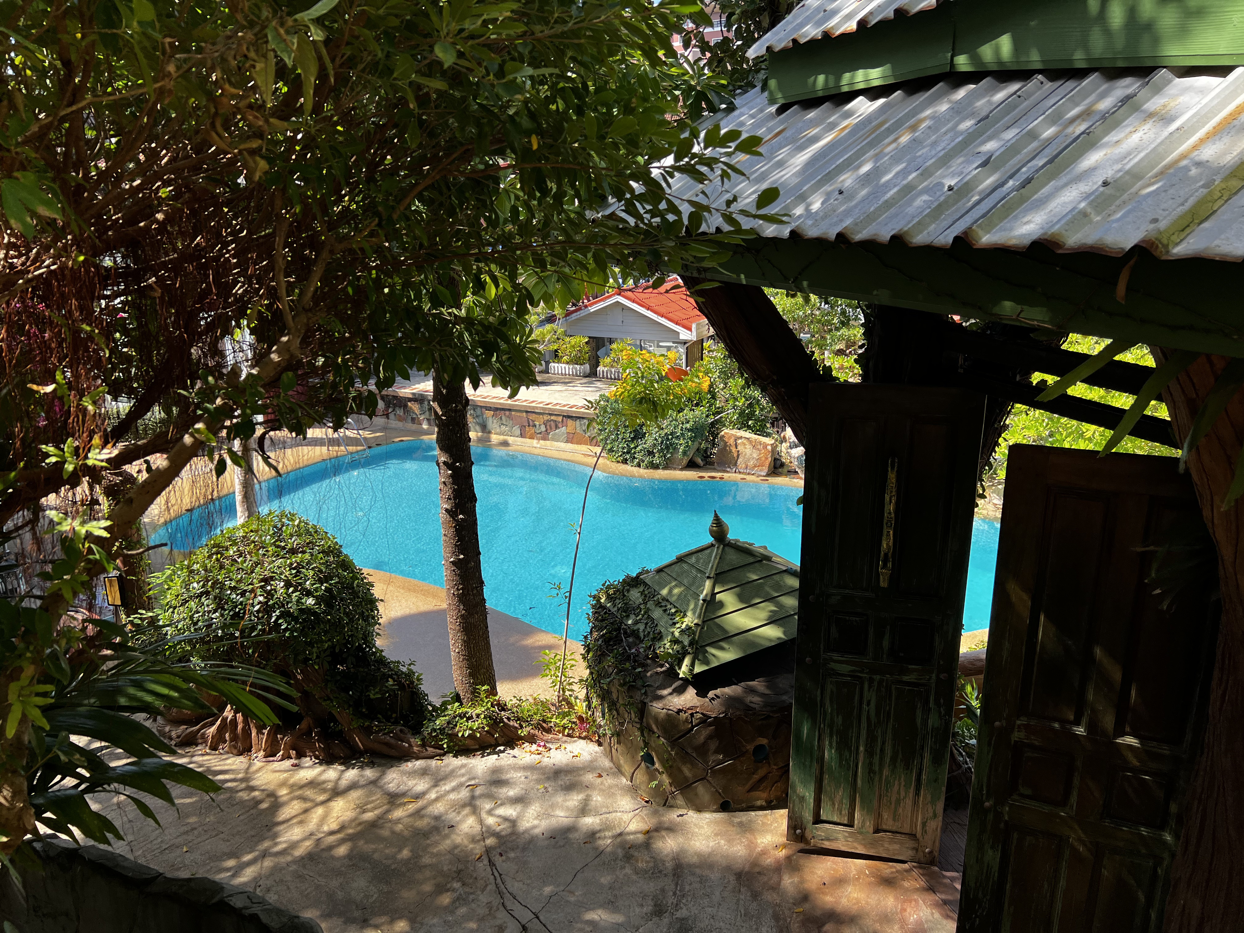 รูปถ่าย ไทย(Thailand) ภูเก็ต(Phuket) หาดกะตะ(Kata Beach) กะตะการ์เด้นรีสอร์ต(Kata Garden Resort) 2021-12 25