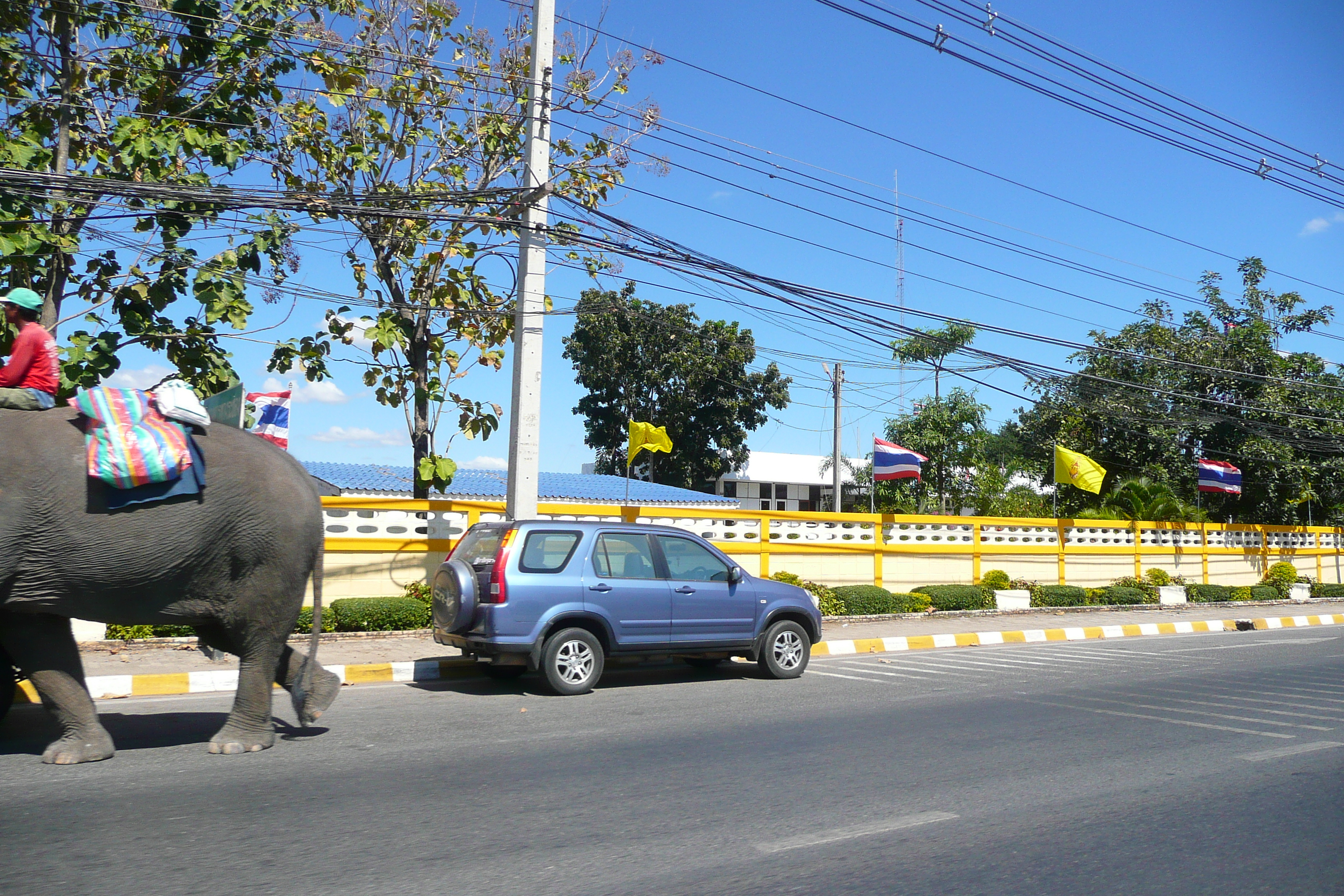 รูปถ่าย ไทย(Thailand) ถนนจากพัทยาไปเกาะเสม็ด(Pattaya to Ko Samet road) 2008-12 49