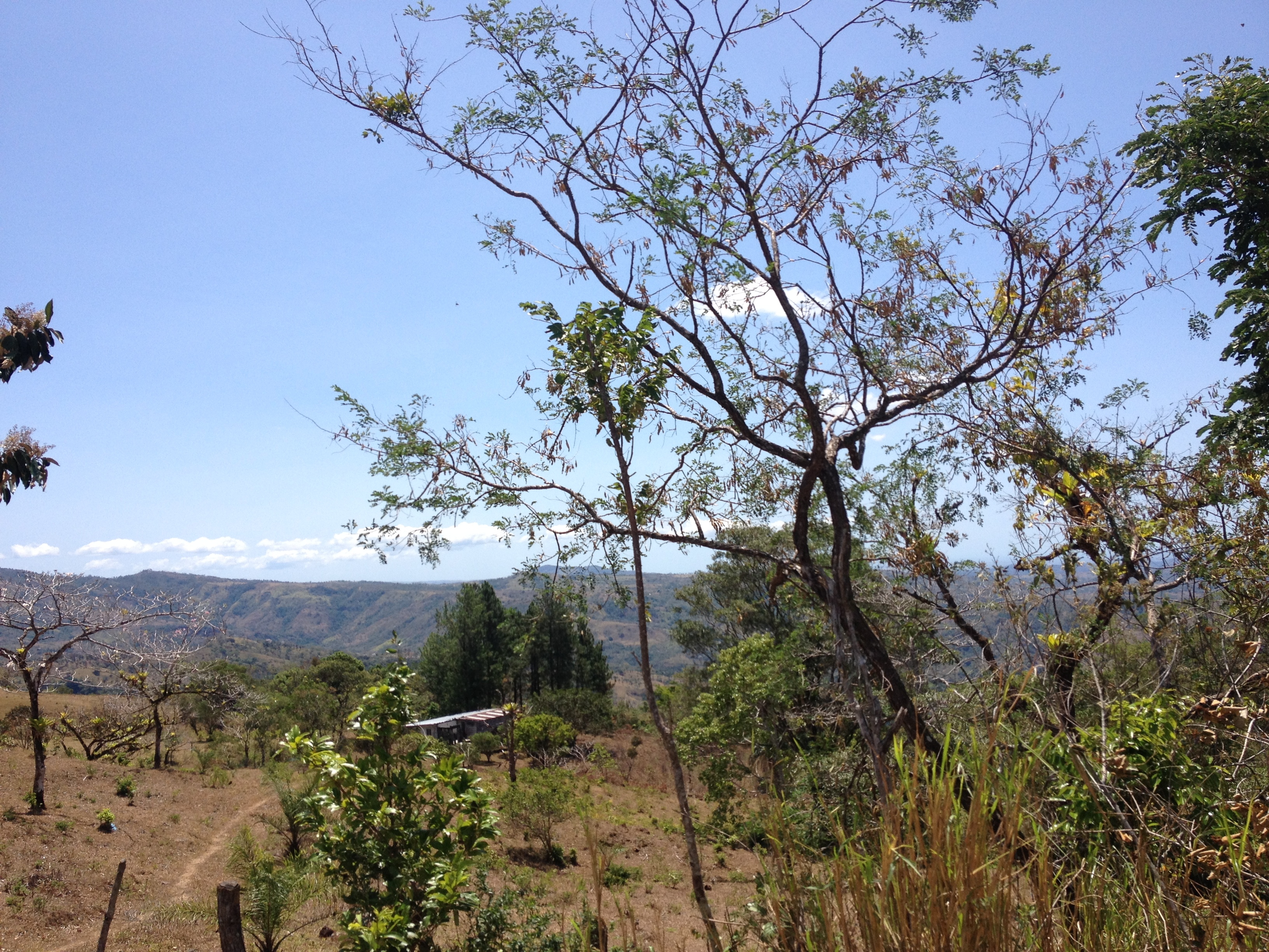 รูปถ่าย ปานามา(Panama) จากดาบิดไปโบกัสเดลโตโร(David to Bocas del toro) 2015-03 113