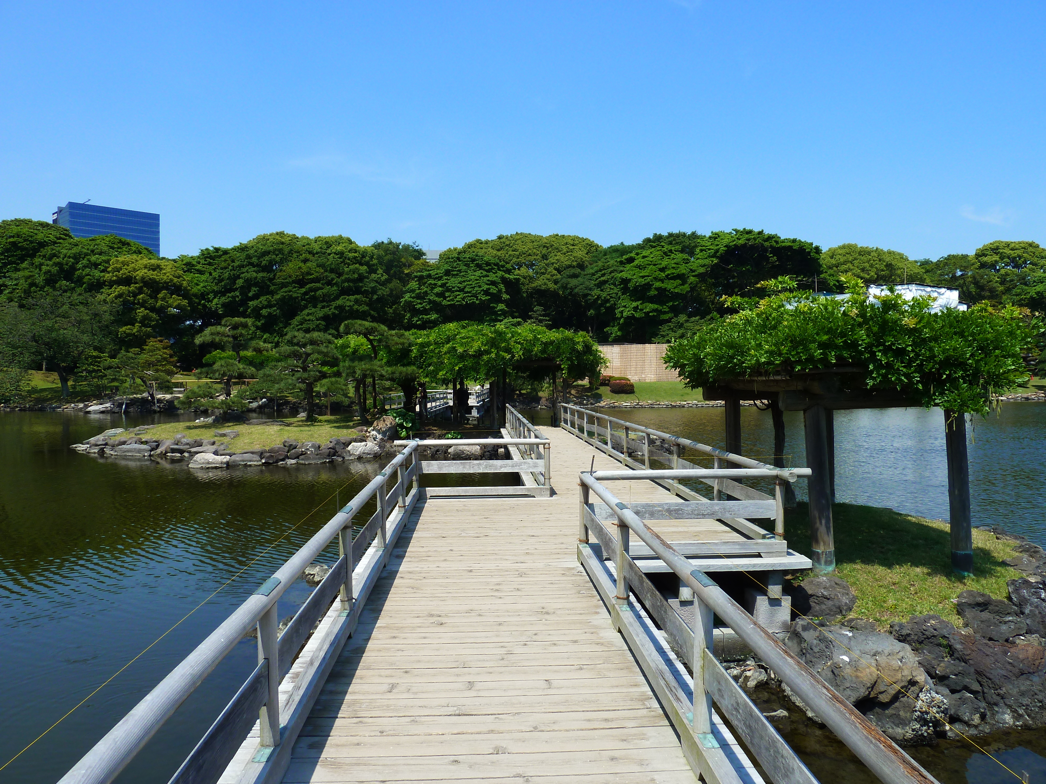 รูปถ่าย ญี่ปุ่น(Japan) โตเกียว(Tokyo) สวนฮามะริคิว(Hama rikyu Gardens) 2010-06 69