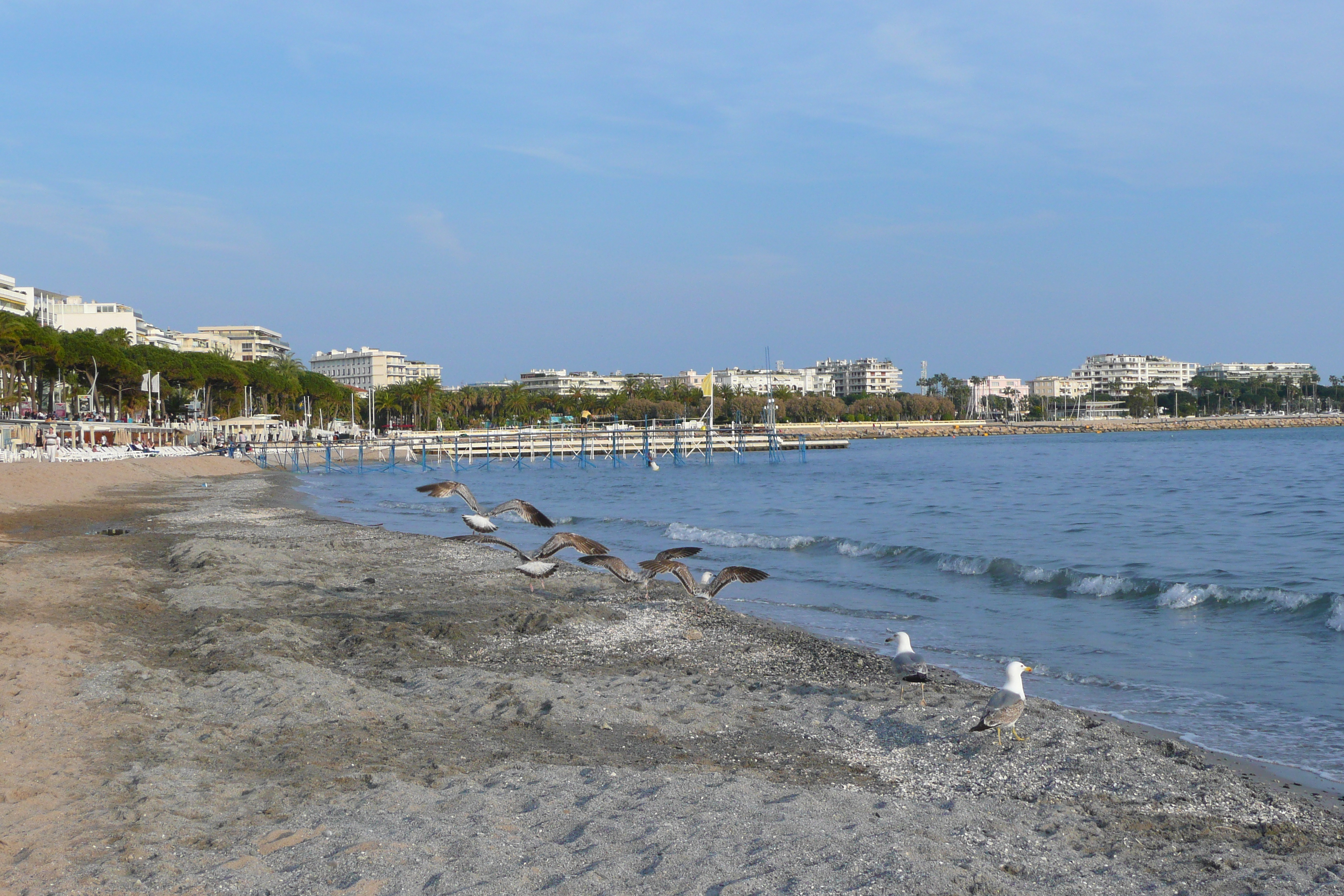 รูปถ่าย ฝรั่งเศส(France) คานส์(Cannes) หาดทราย(Beach) 2008-04 0