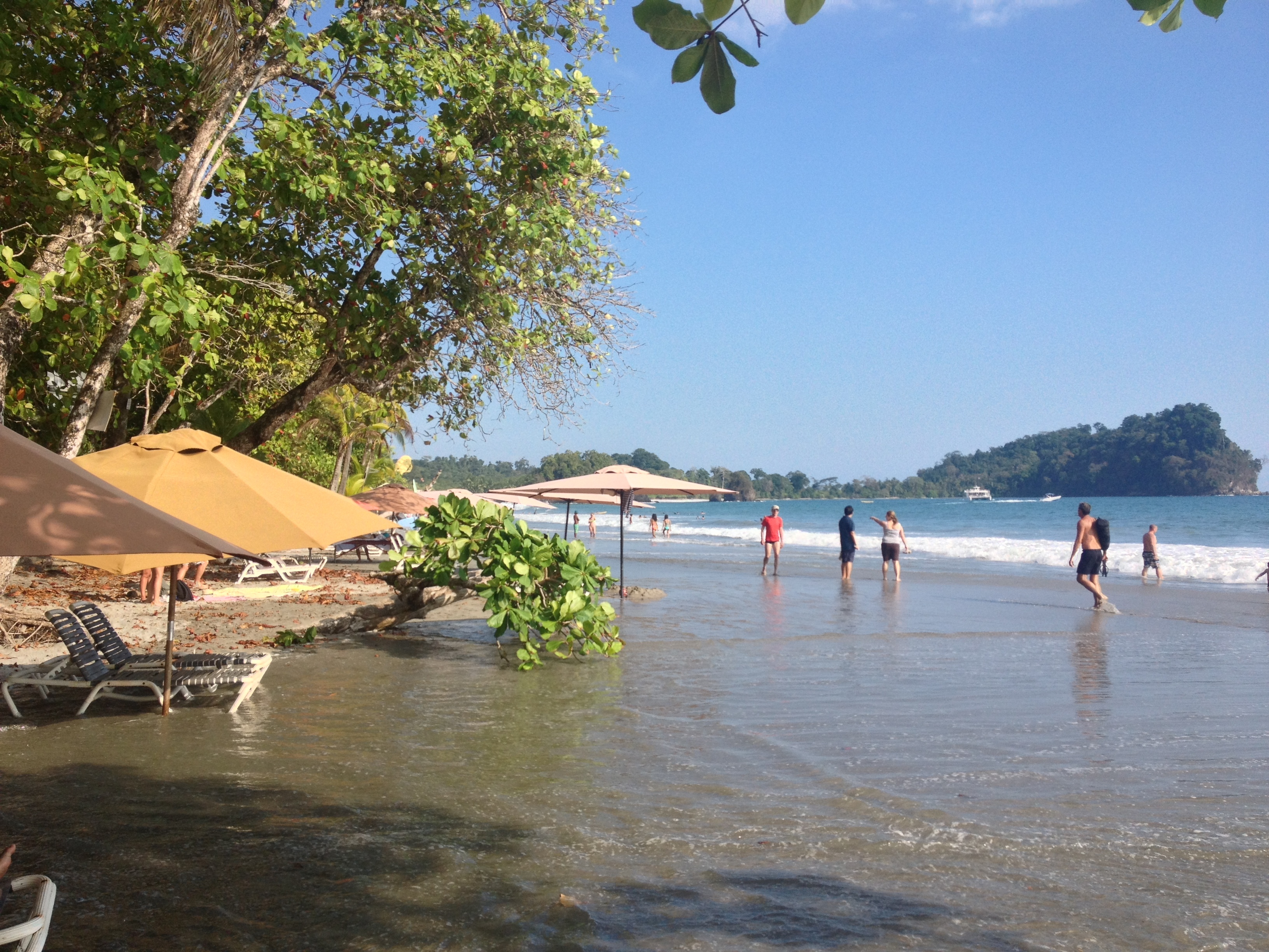 รูปถ่าย คอสตาริกา(Costa Rica) มานวยล์อันโตนีโอ(Manuel Antonio) 2015-03 136