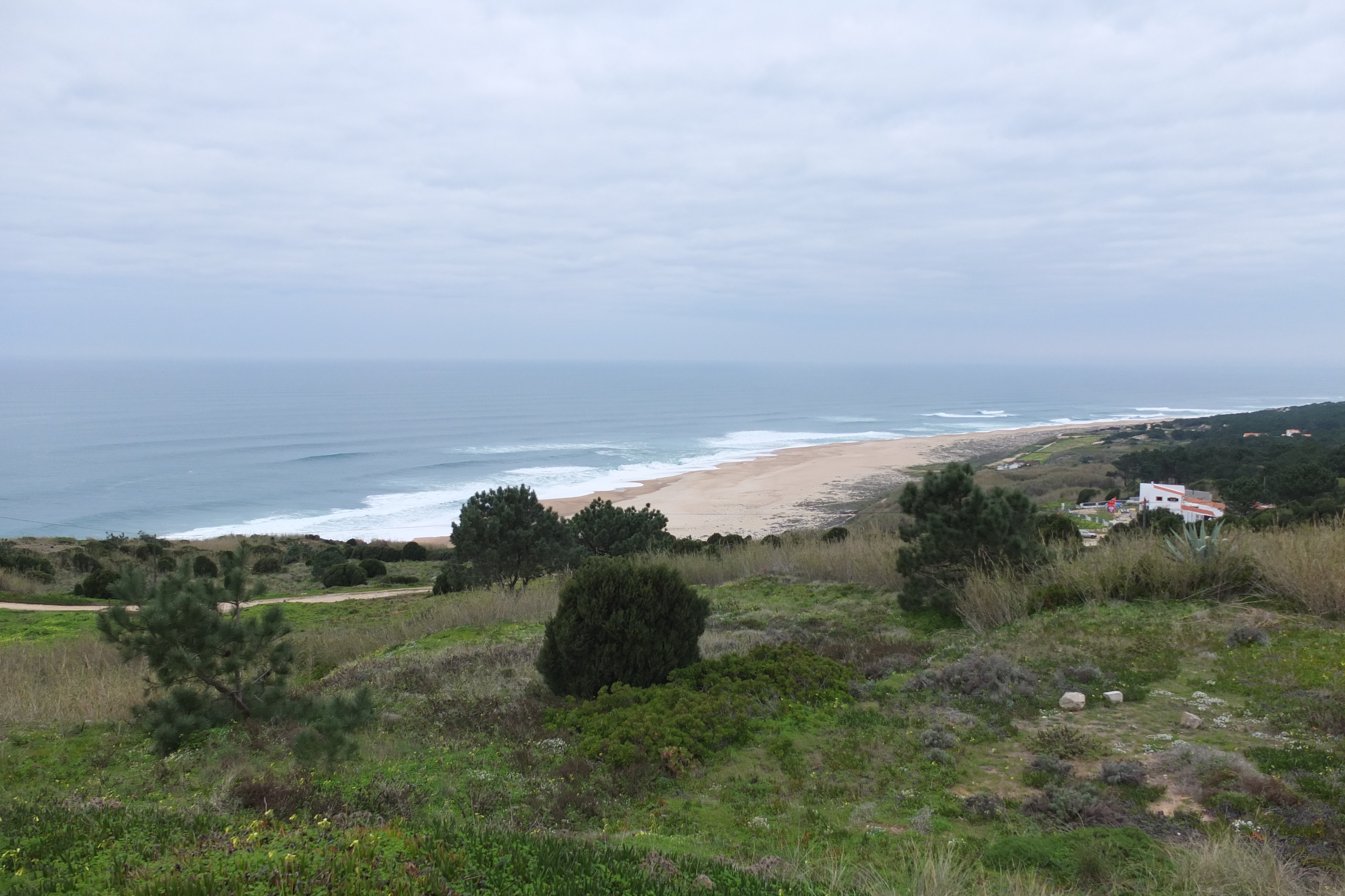 รูปถ่าย โปรตุเกส(Portugal) นาซาเร(Nazare) 2013-01 54