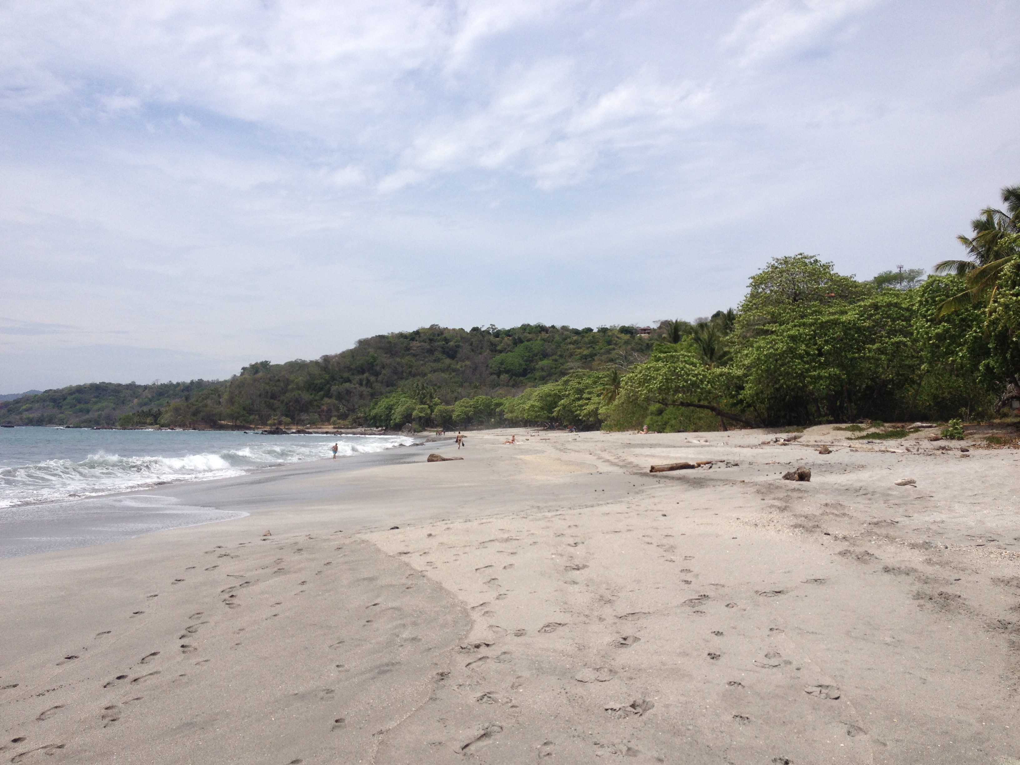 รูปถ่าย คอสตาริกา(Costa Rica) มอนเตซูมา(Montezuma) 2015-03 543