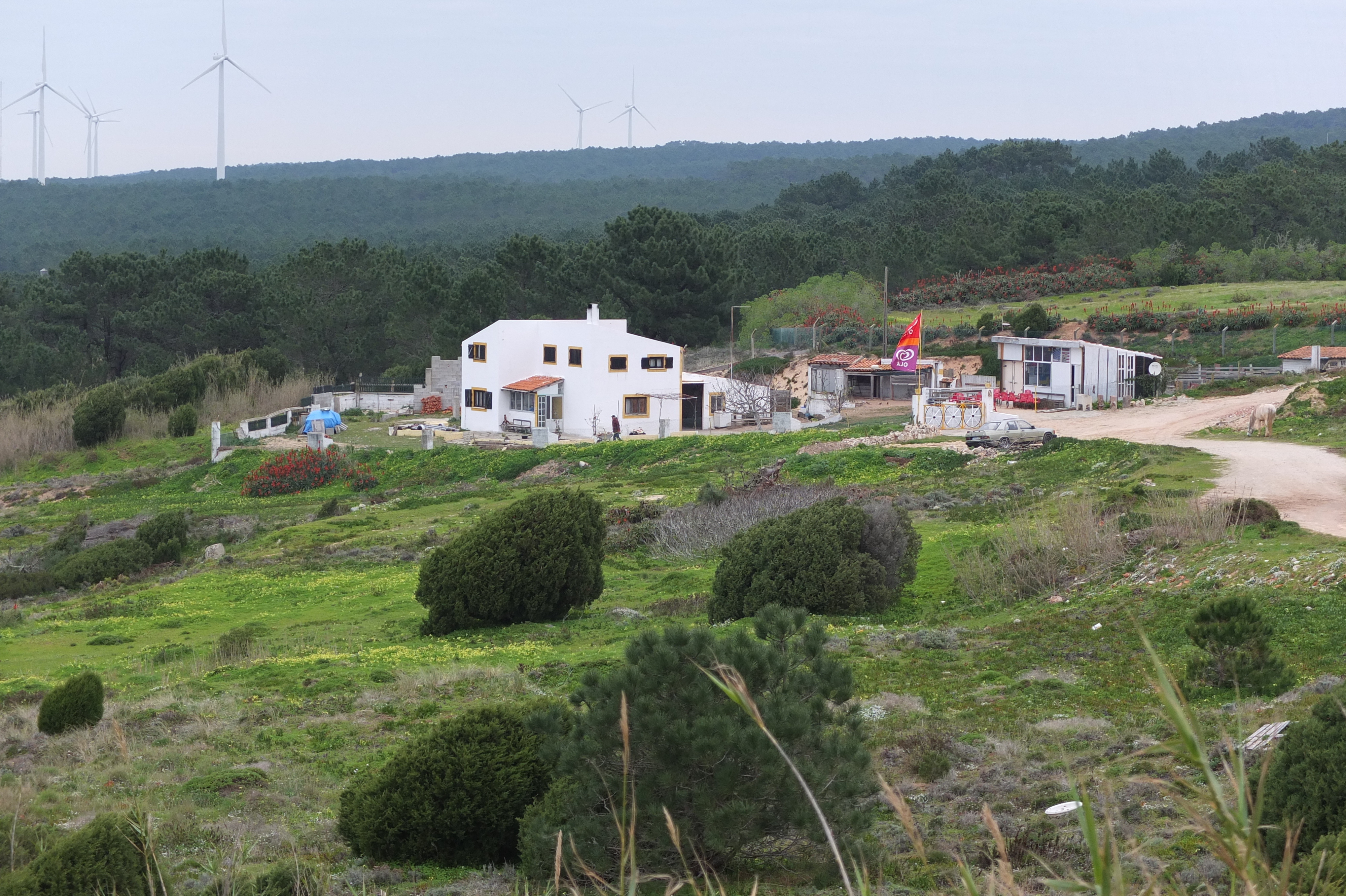 รูปถ่าย โปรตุเกส(Portugal) นาซาเร(Nazare) 2013-01 52