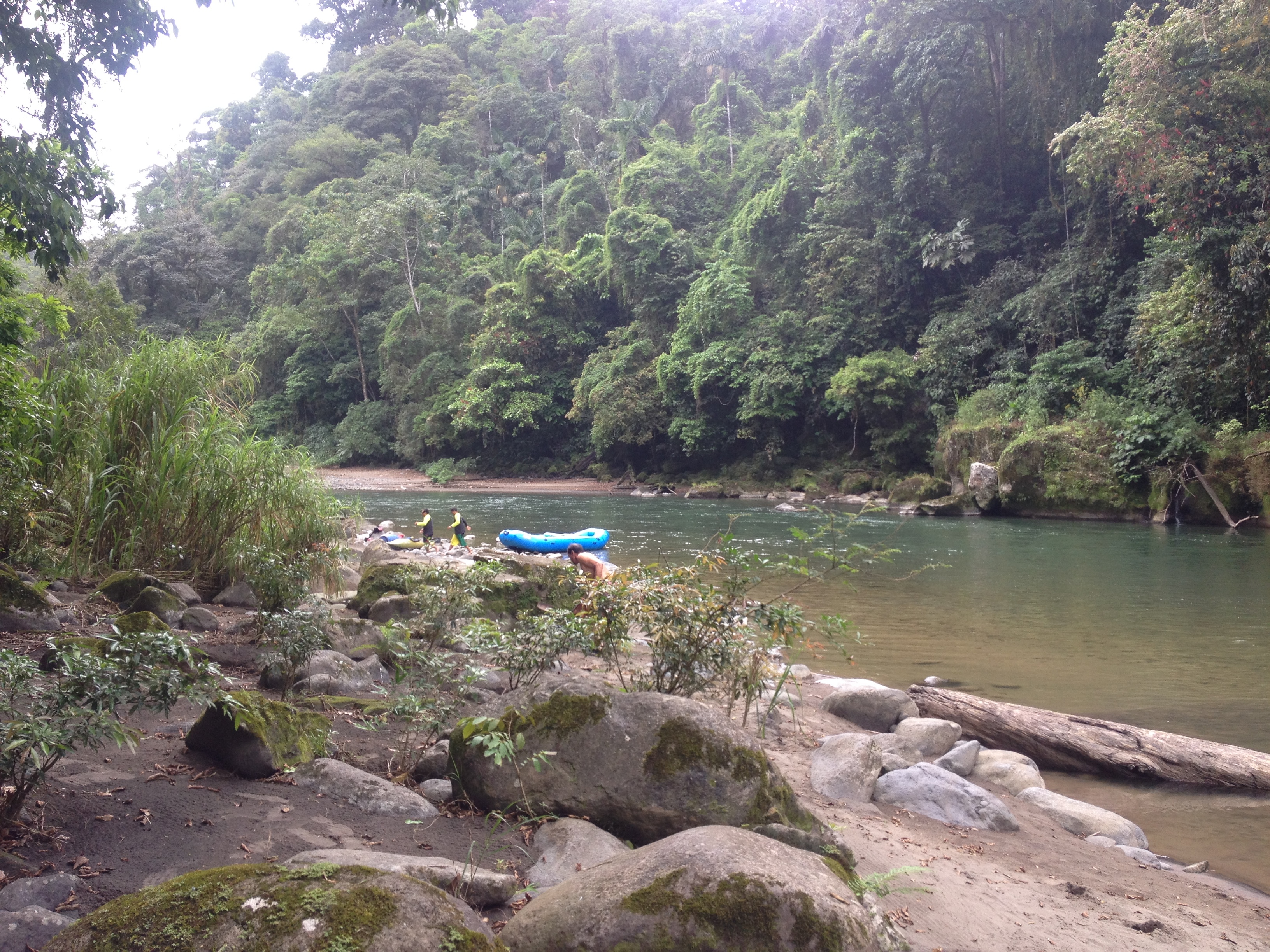 รูปถ่าย คอสตาริกา(Costa Rica) แม่น้ำปากัวเร(Pacuare River) 2015-03 163