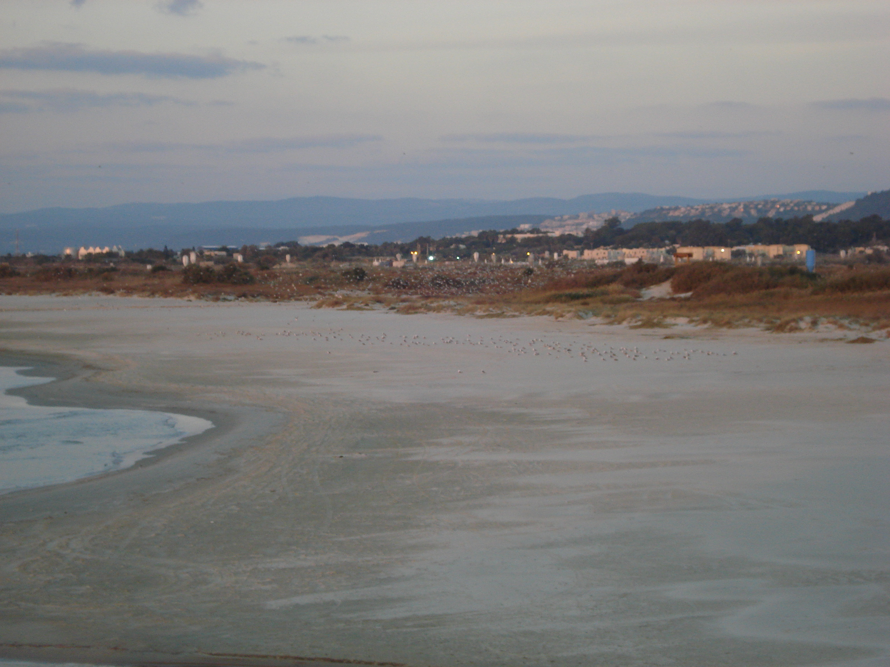 รูปถ่าย อิสราเอล(Israel) จากไฮฟาไปเทลอาวีฟ(From Haifa to Tel Aviv) 2006-12 48