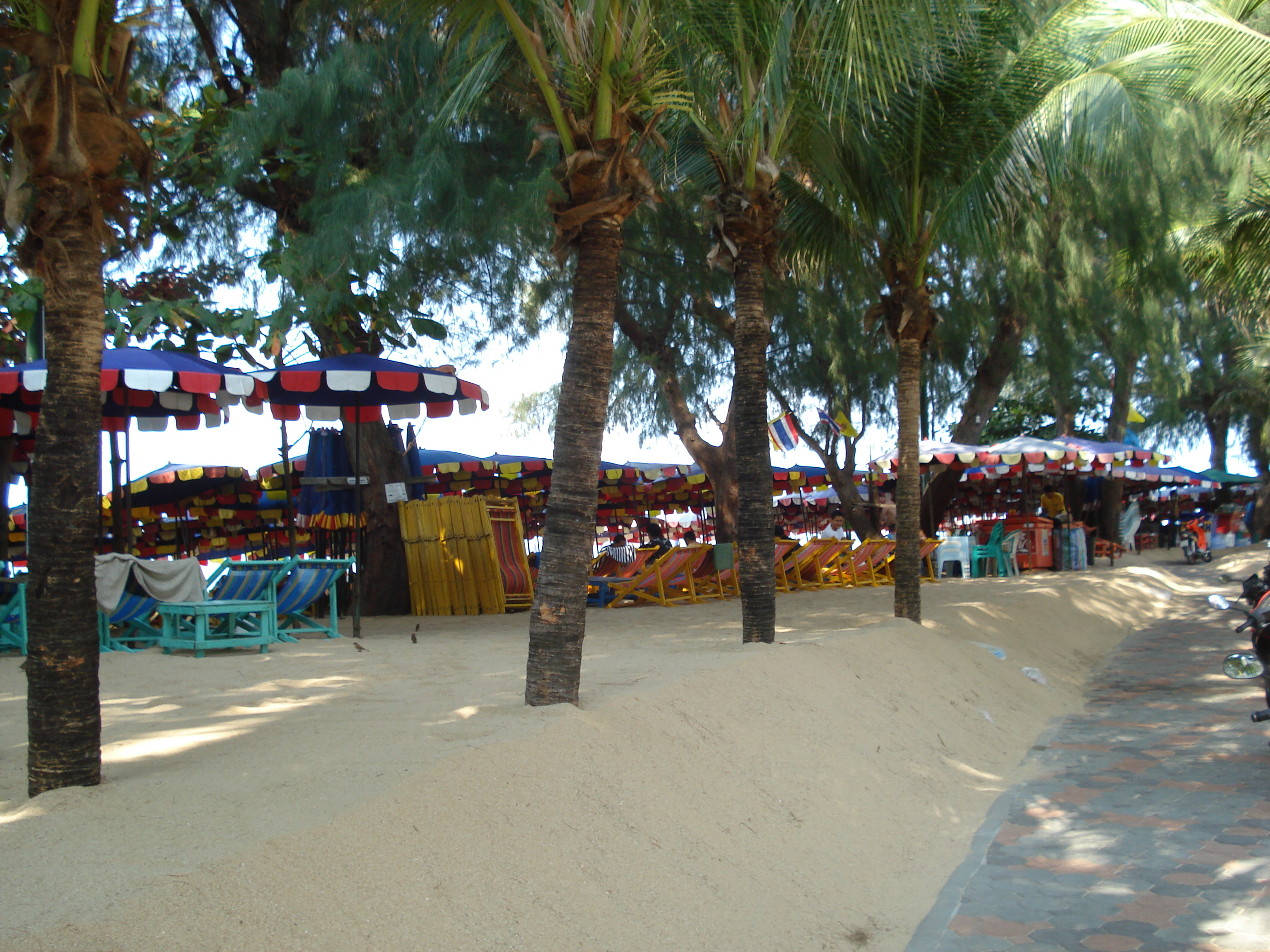 รูปถ่าย ไทย(Thailand) พัทยา(Pattaya) หาดดงตาล(Dongtan beach) 2008-01 47