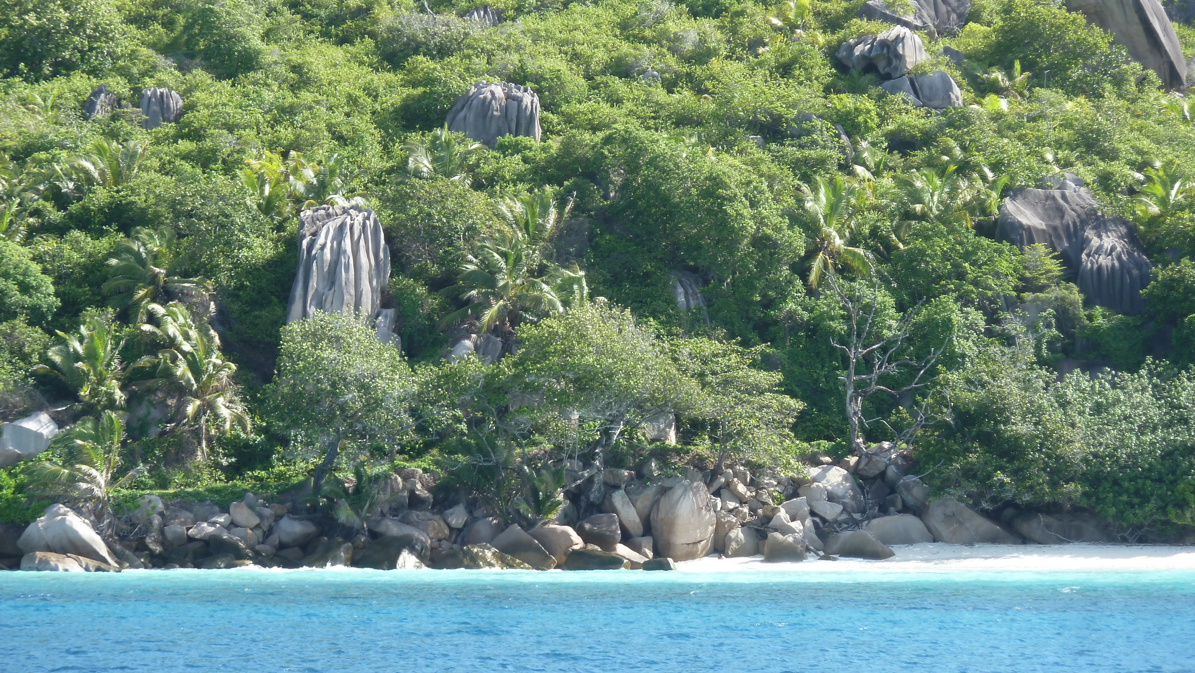 รูปถ่าย เซเชลส์(Seychelles) เกาะกร็องด์เซอร์(Grande Soeur) 2011-10 29