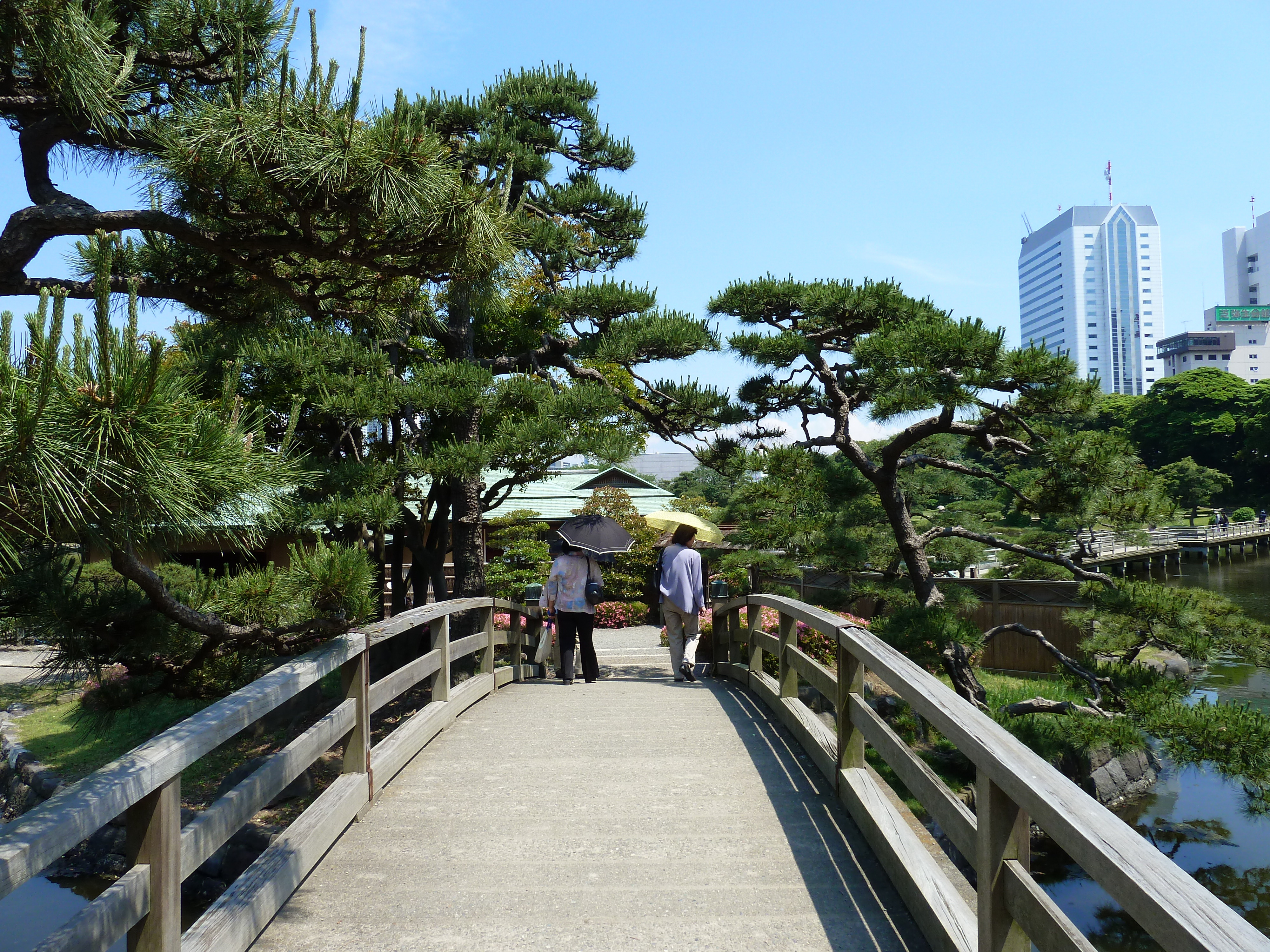 รูปถ่าย ญี่ปุ่น(Japan) 2010-06 76