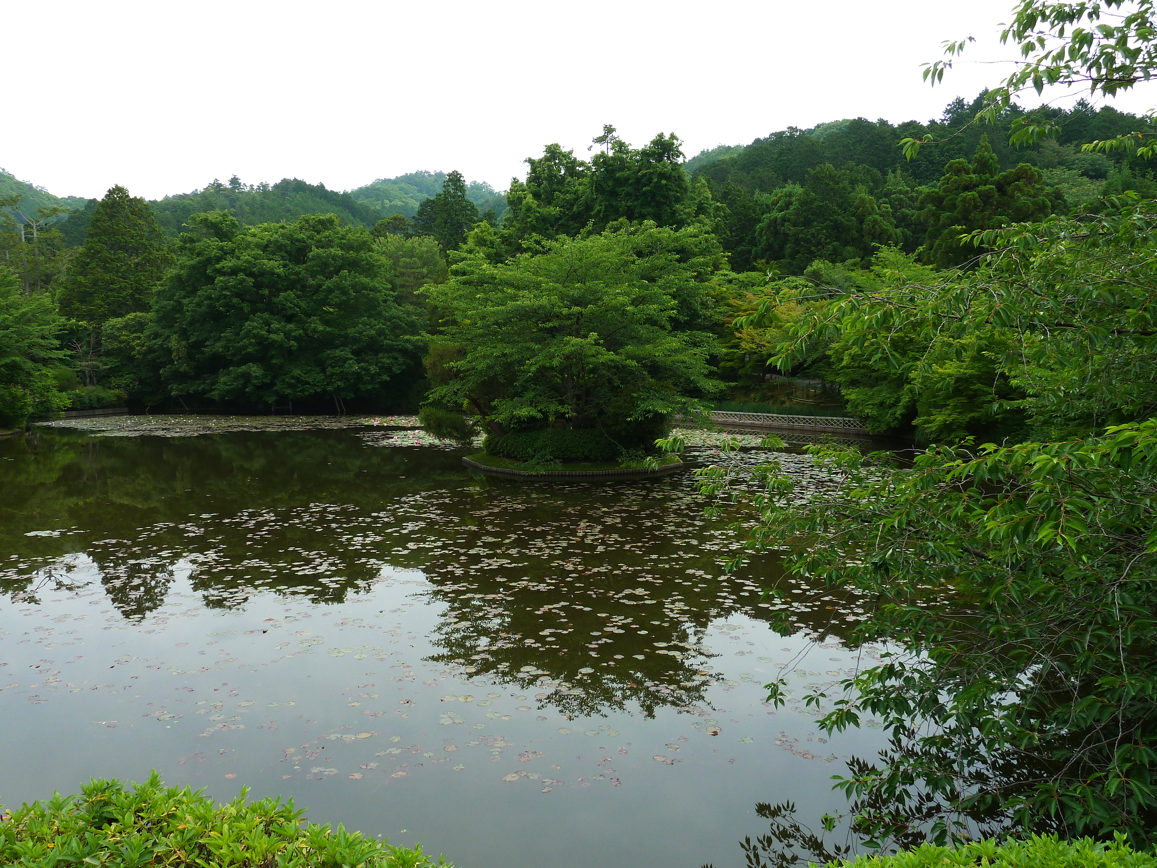 รูปถ่าย ญี่ปุ่น(Japan) เกียวโต(Kyoto) วัดเรียวอันจิ(Ryoanji Temple) 2010-06 56