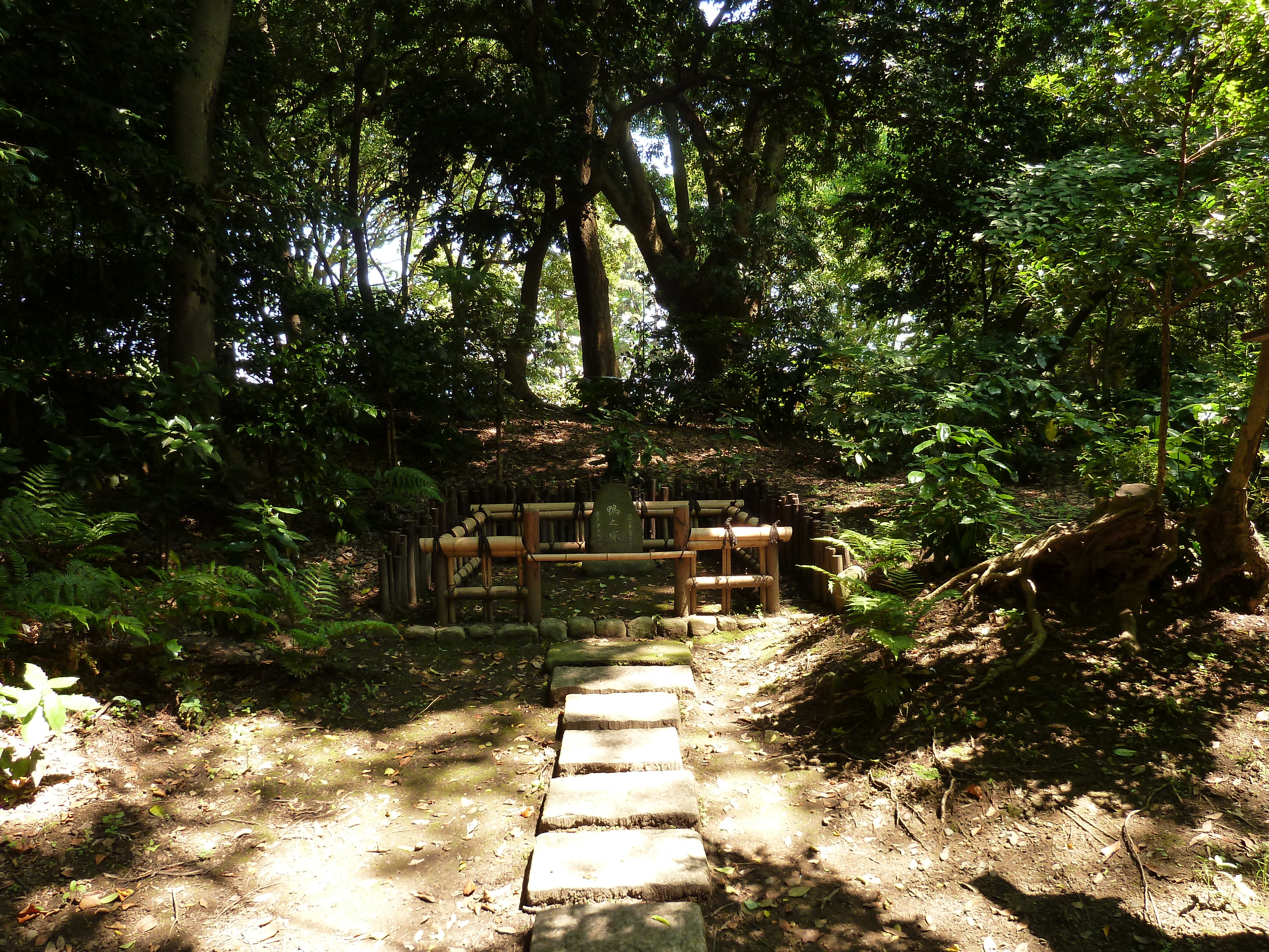รูปถ่าย ญี่ปุ่น(Japan) โตเกียว(Tokyo) สวนฮามะริคิว(Hama rikyu Gardens) 2010-06 75