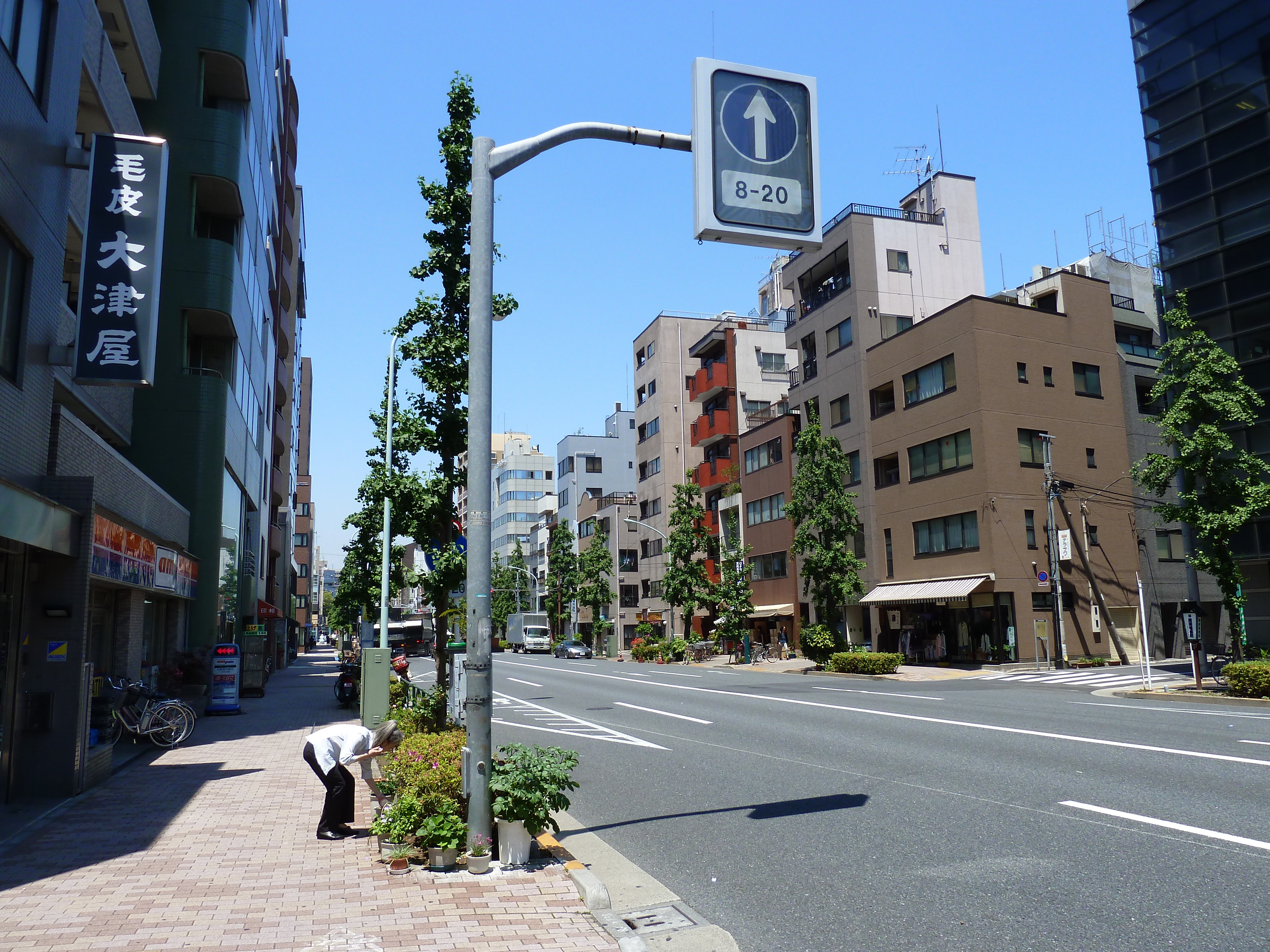 รูปถ่าย ญี่ปุ่น(Japan) โตเกียว(Tokyo) อาซากุสะ(Asakusa) 2010-06 15