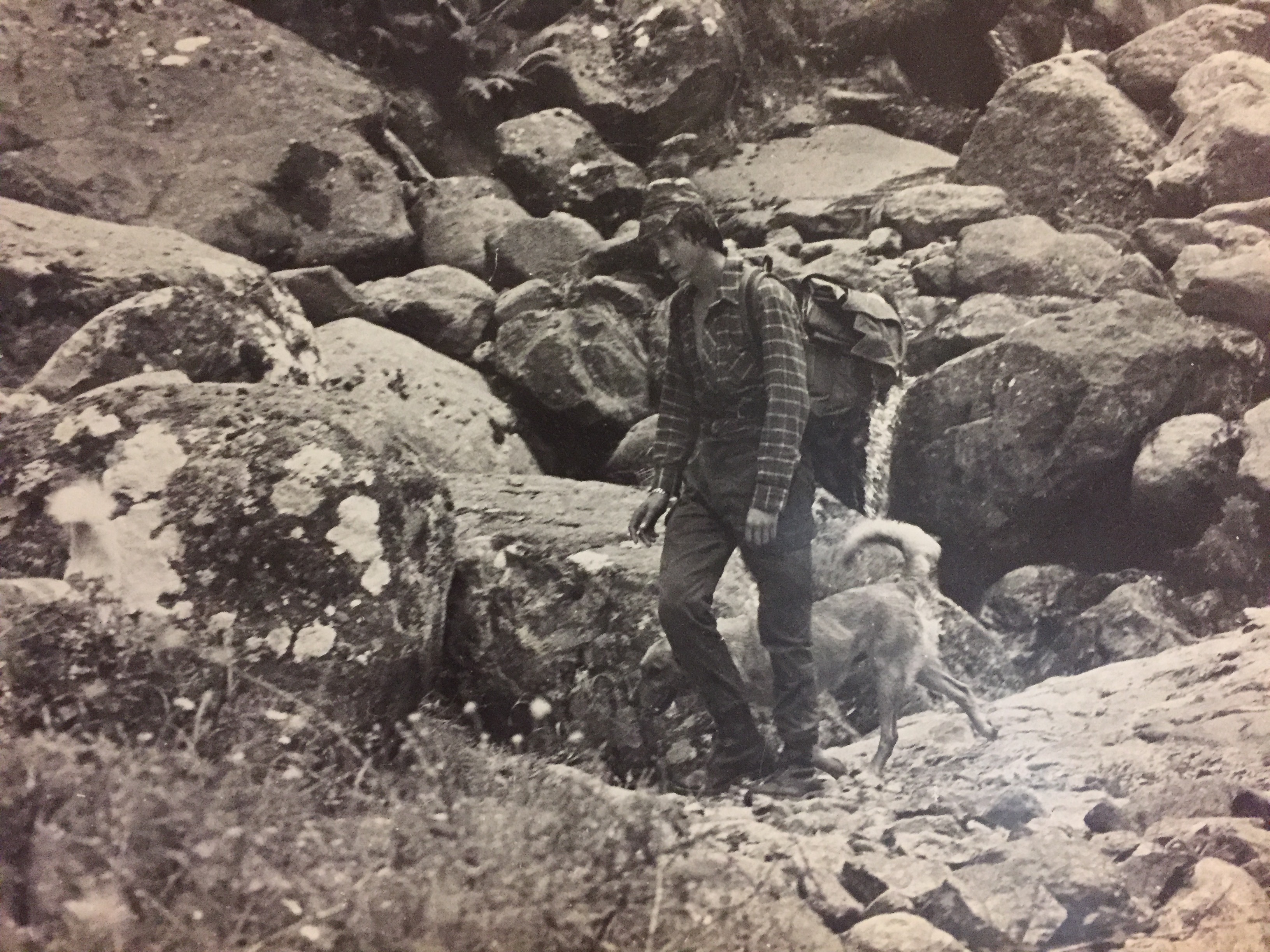 รูปถ่าย ฝรั่งเศส(France) คอร์สิคา(Corsica) เชร์วีออน(Cervione) พิพิธภัณฑ์ชาติพันธุ์วิทยา(Ethnographic Museum) 2017-07 8