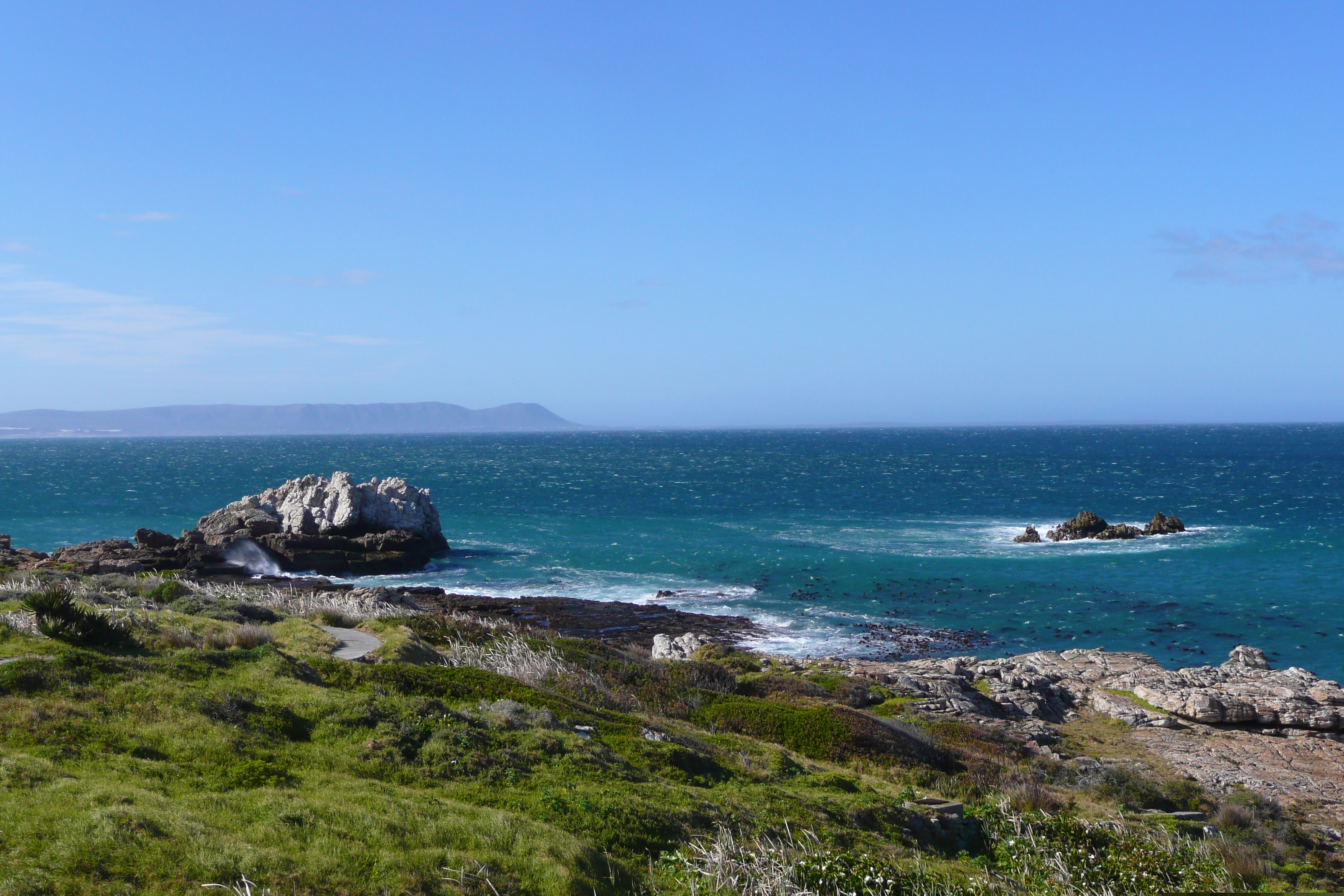 รูปถ่าย แอฟริกาใต้(South Africa) เฮอร์มานัส(Harmanus) 2008-09 227