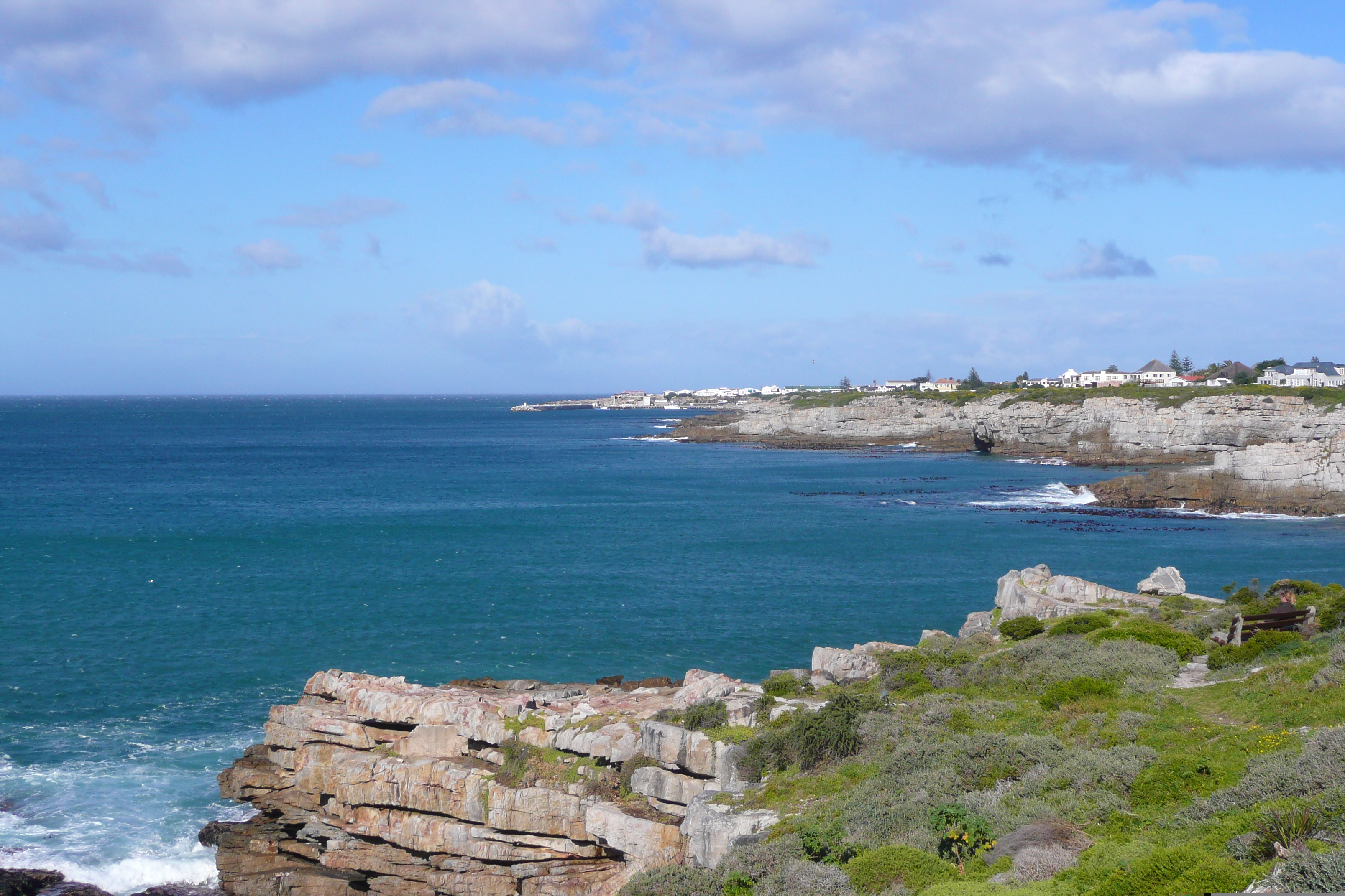 รูปถ่าย แอฟริกาใต้(South Africa) เฮอร์มานัส(Harmanus) 2008-09 219