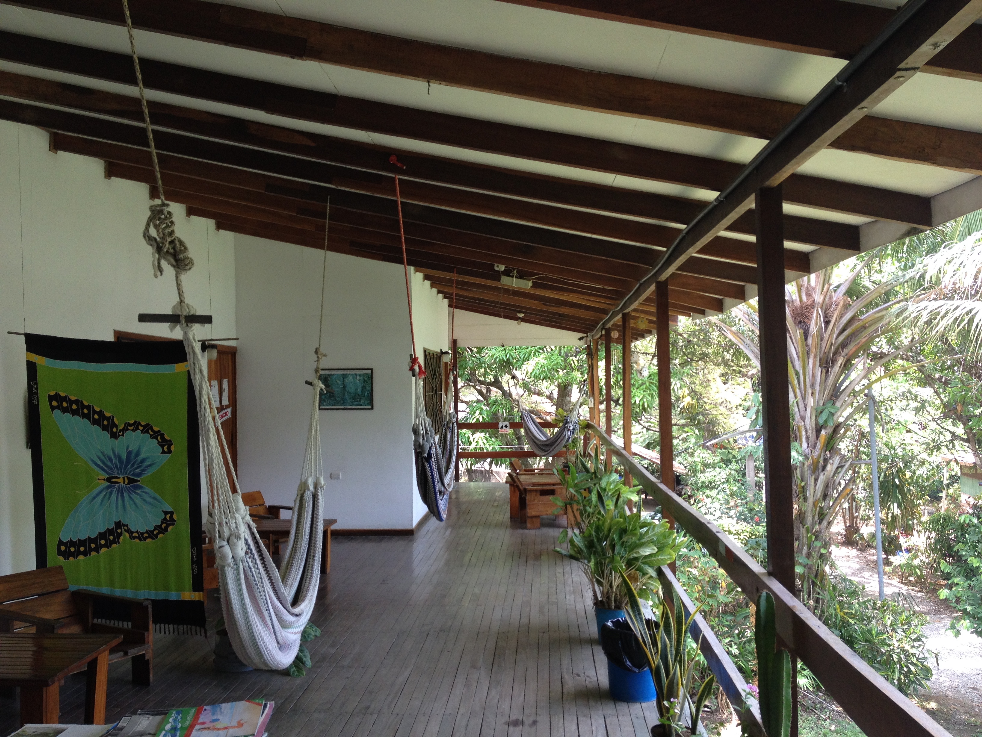 รูปถ่าย คอสตาริกา(Costa Rica) มอนเตซูมา(Montezuma) 2015-03 586