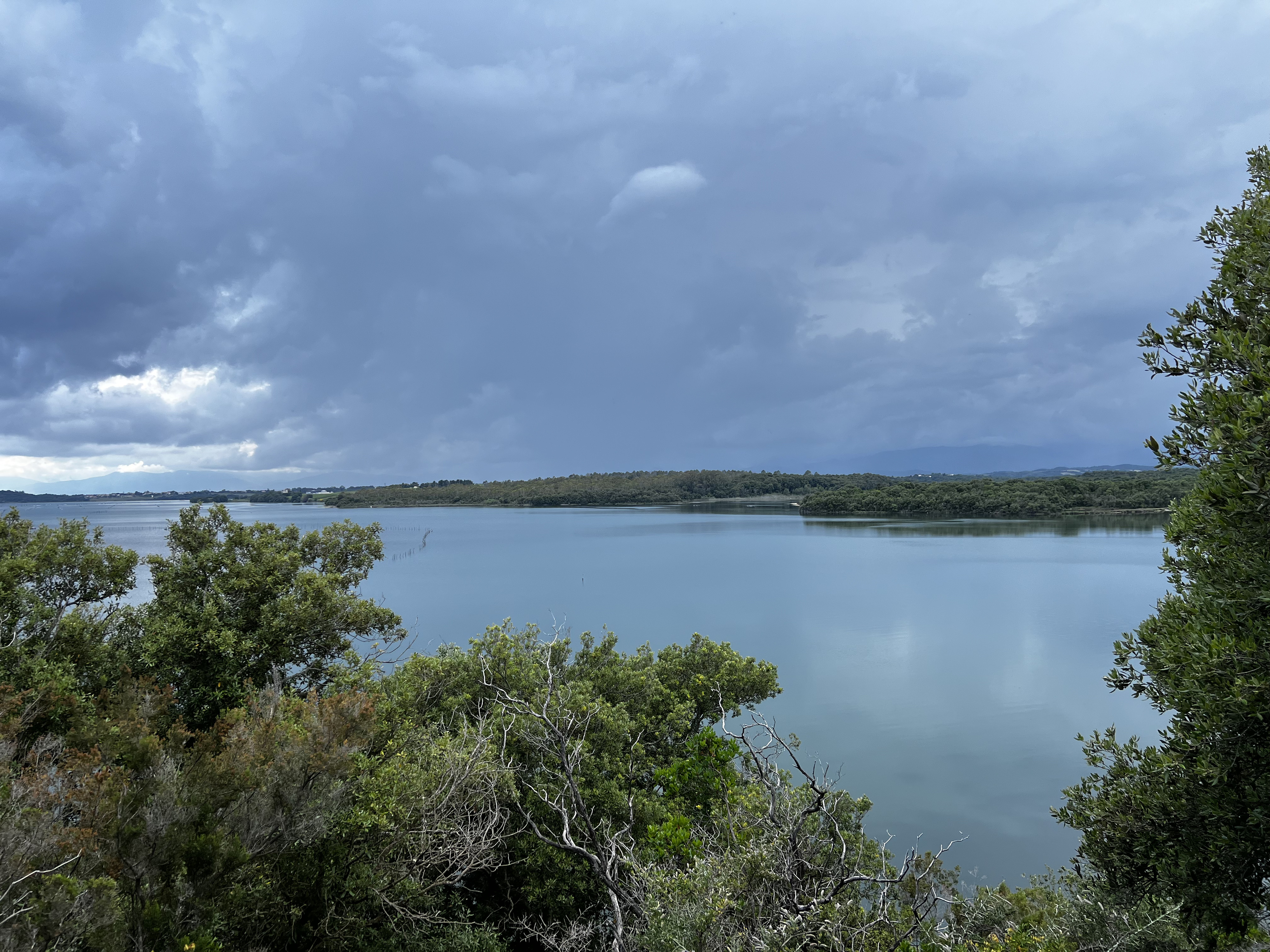 รูปถ่าย ฝรั่งเศส(France) คอร์สิคา(Corsica) บึงดียาน(Etang de Diane) 2023-06 0