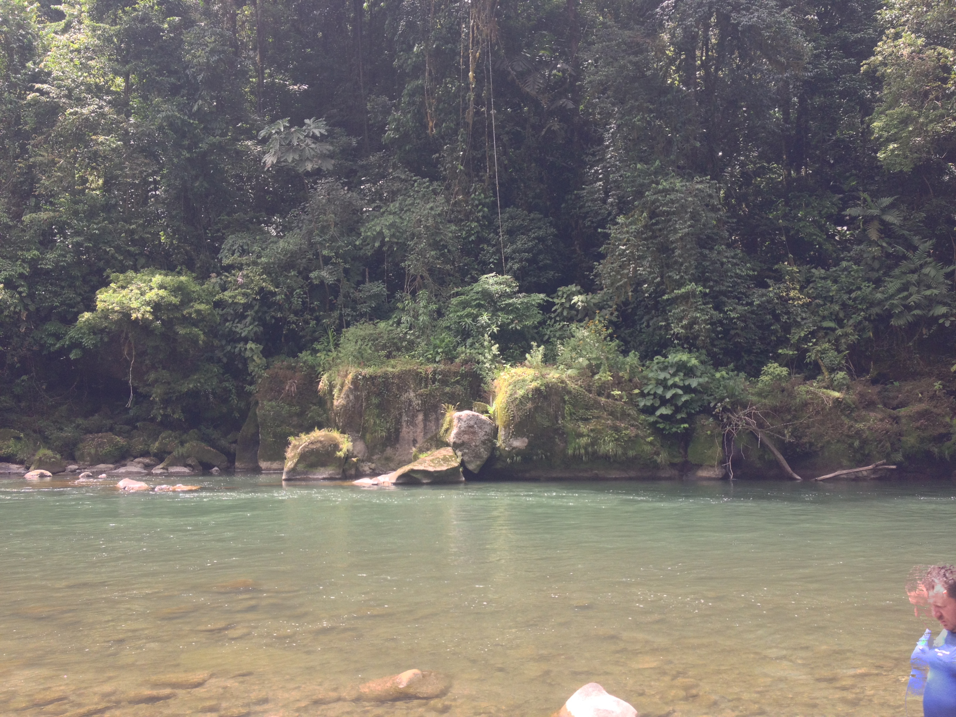รูปถ่าย คอสตาริกา(Costa Rica) แม่น้ำปากัวเร(Pacuare River) 2015-03 112